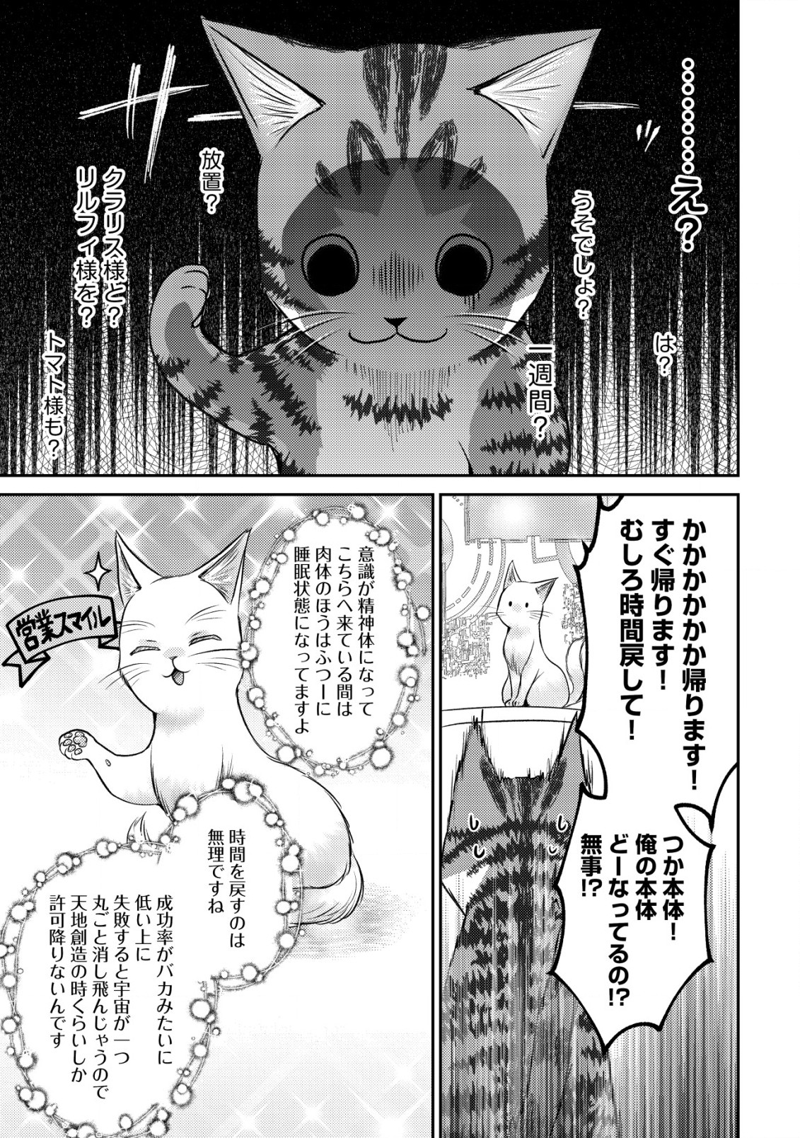 我輩は猫魔導師である～キジトラ・ルークの快適チート猫生活～ 第10.2話 - Page 9