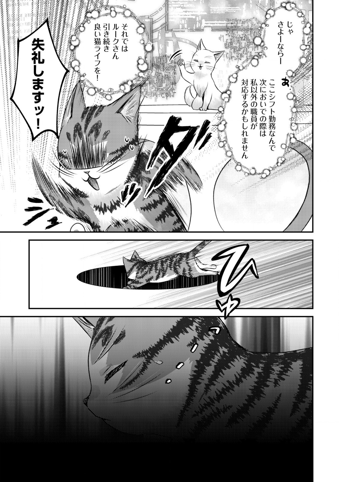 我輩は猫魔導師である～キジトラ・ルークの快適チート猫生活～ 第10.2話 - Page 11