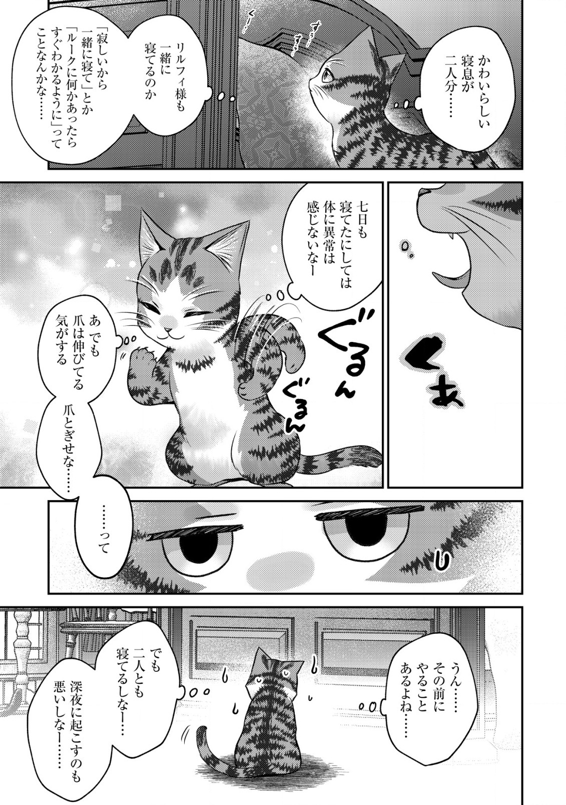 我輩は猫魔導師である～キジトラ・ルークの快適チート猫生活～ 第10.2話 - Page 13