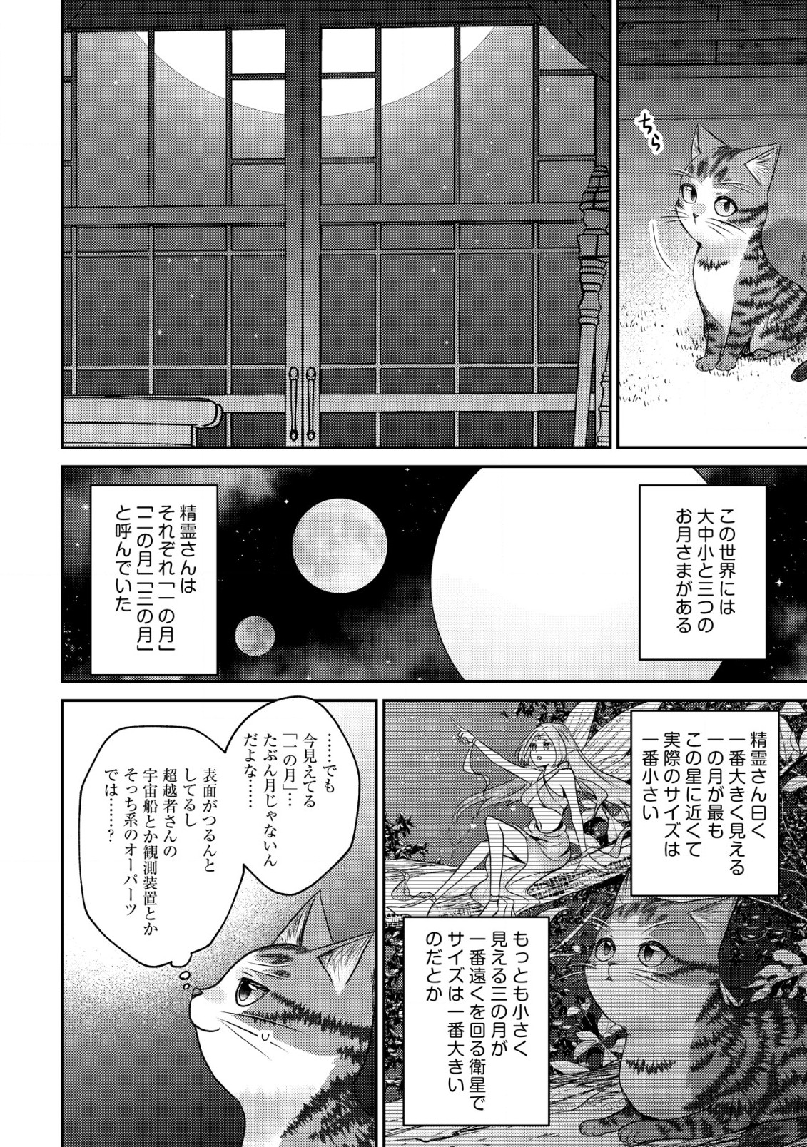 我輩は猫魔導師である～キジトラ・ルークの快適チート猫生活～ 第10.2話 - Page 14