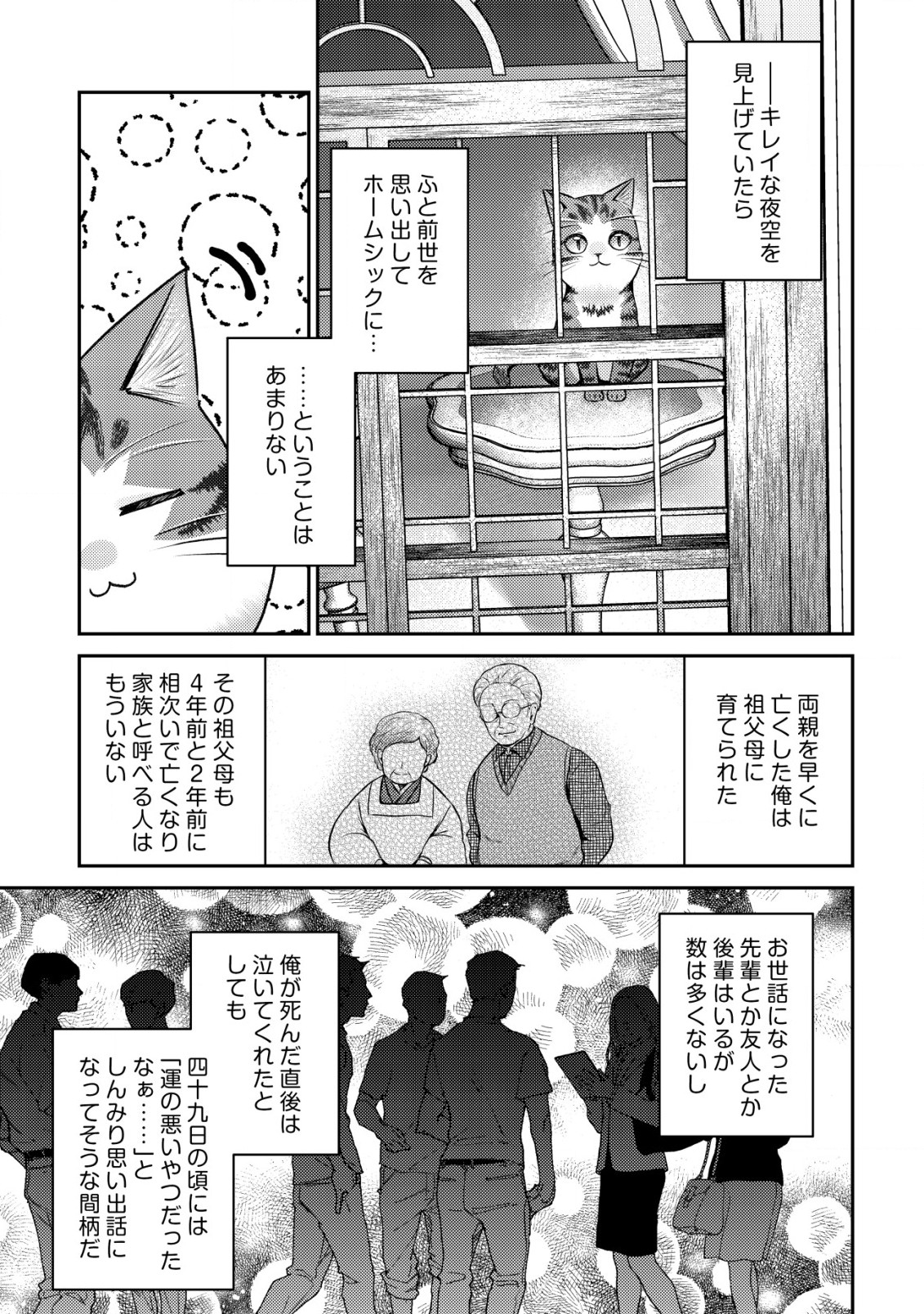 我輩は猫魔導師である～キジトラ・ルークの快適チート猫生活～ 第10.2話 - Page 15