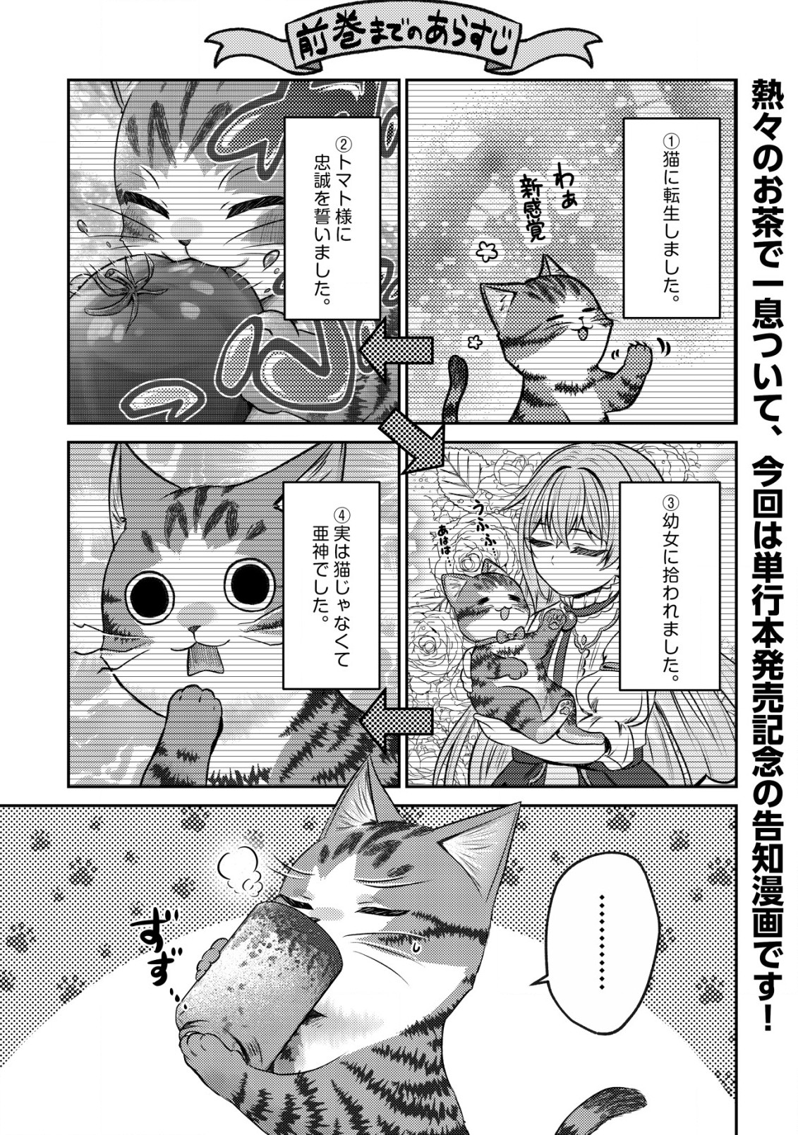 我輩は猫魔導師である～キジトラ・ルークの快適チート猫生活～ 第10.5話 - Page 2