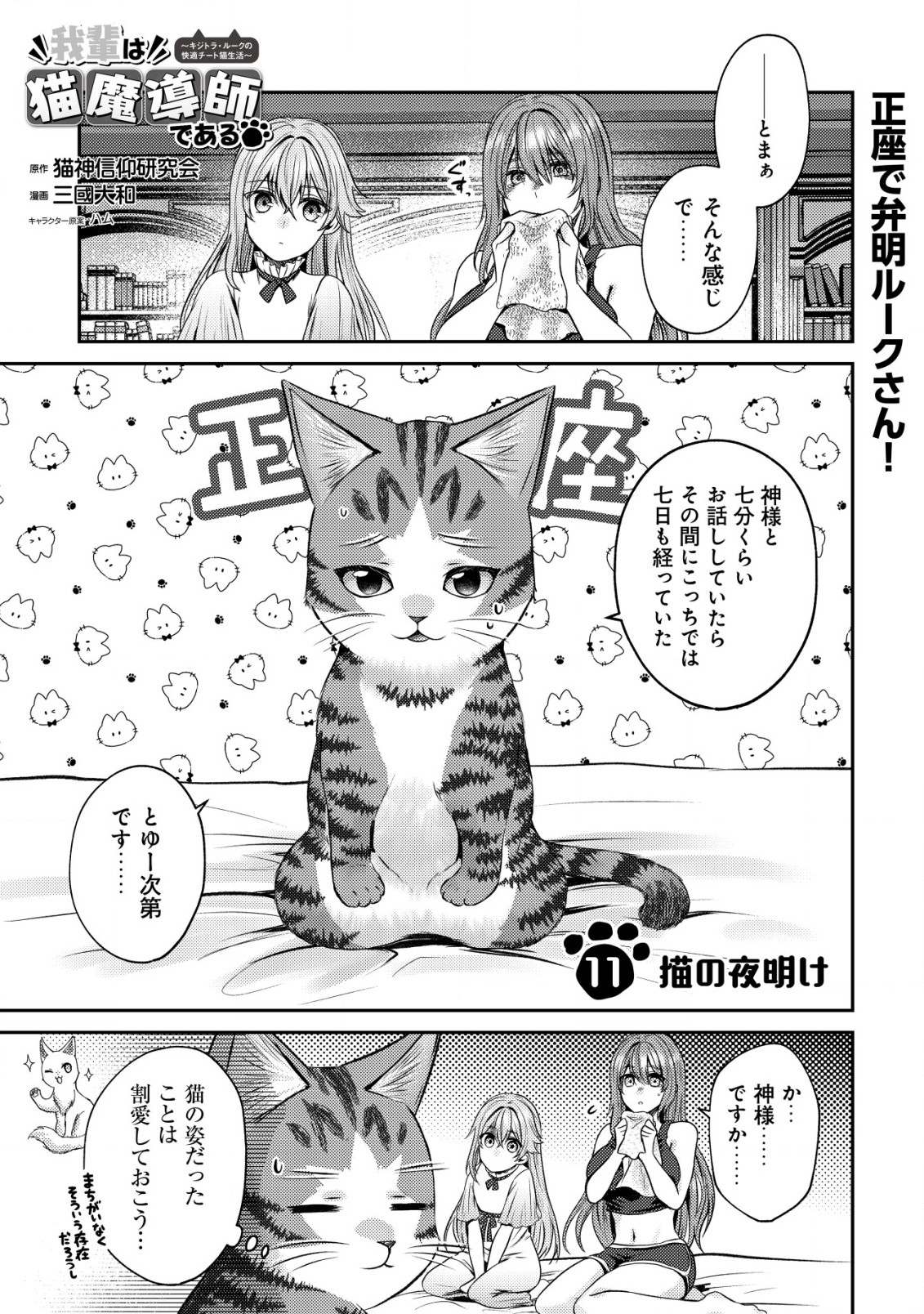 我輩は猫魔導師である～キジトラ・ルークの快適チート猫生活～ 第11.1話 - Page 2