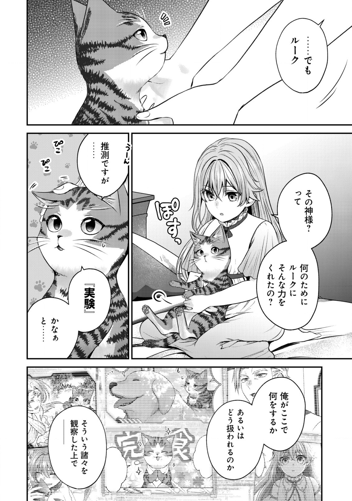 我輩は猫魔導師である～キジトラ・ルークの快適チート猫生活～ 第11.1話 - Page 2