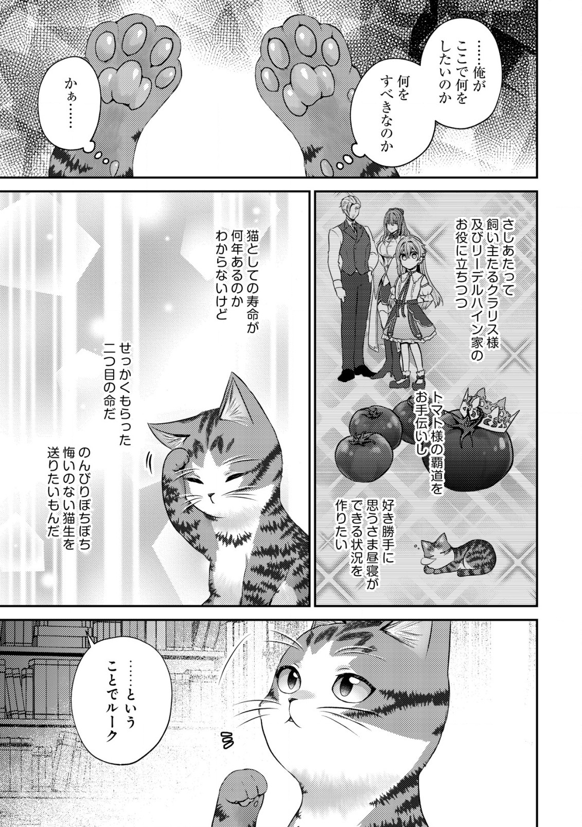 我輩は猫魔導師である～キジトラ・ルークの快適チート猫生活～ 第11.1話 - Page 6