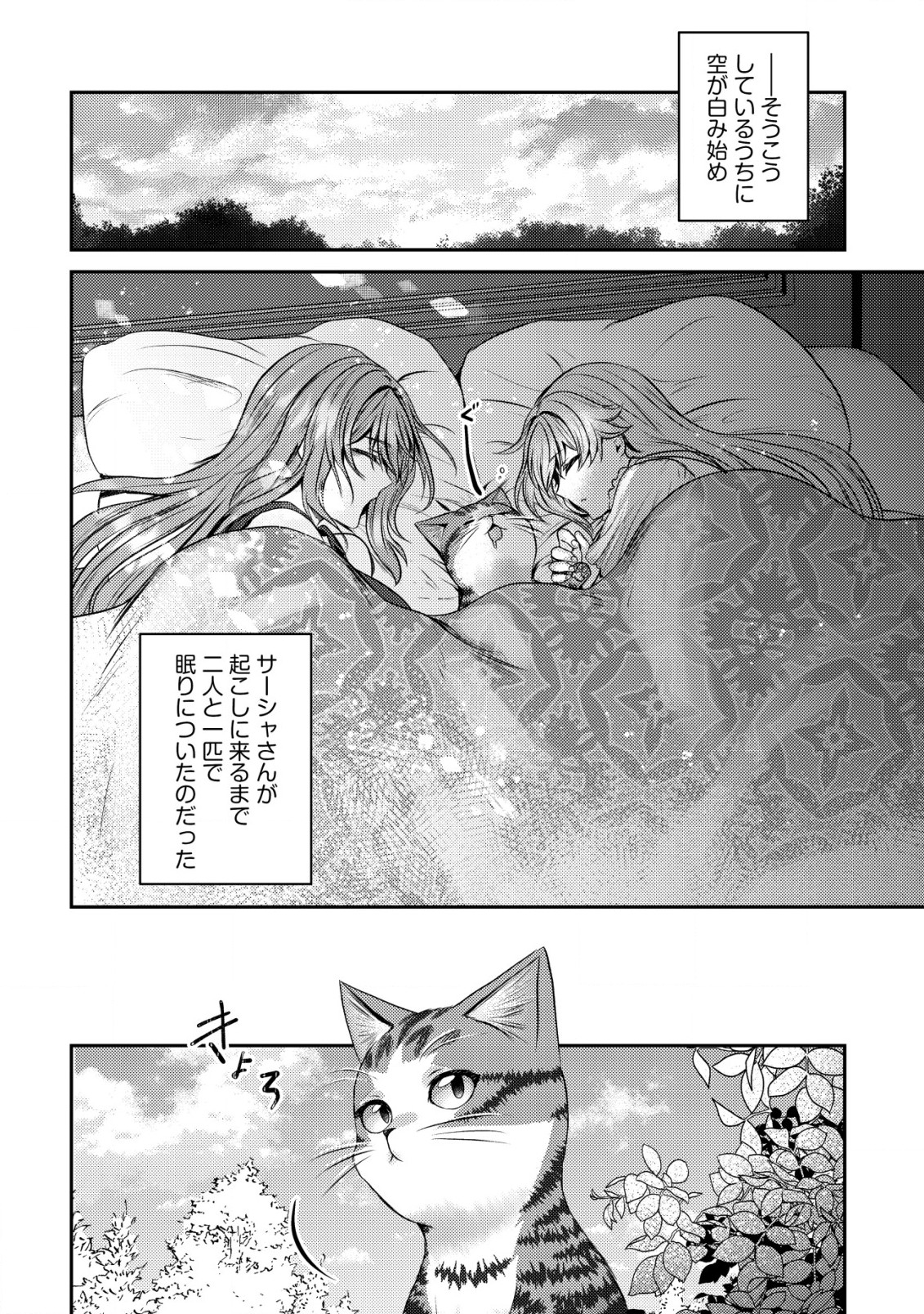 我輩は猫魔導師である～キジトラ・ルークの快適チート猫生活～ 第11.2話 - Page 3