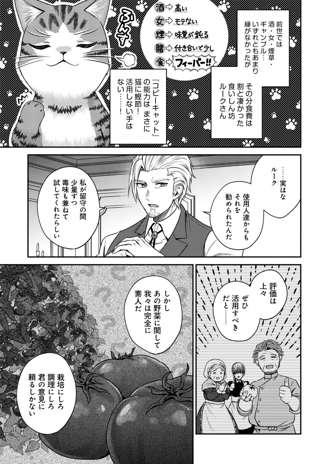 我輩は猫魔導師である～キジトラ・ルークの快適チート猫生活～ 第12.2話 - Page 4