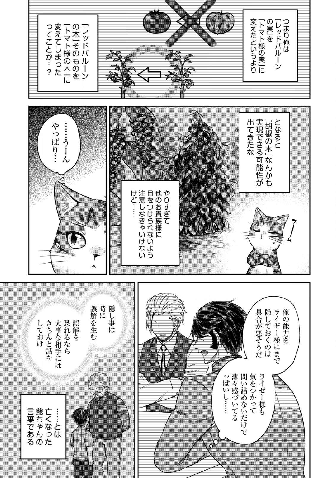 我輩は猫魔導師である～キジトラ・ルークの快適チート猫生活～ 第12.2話 - Page 5