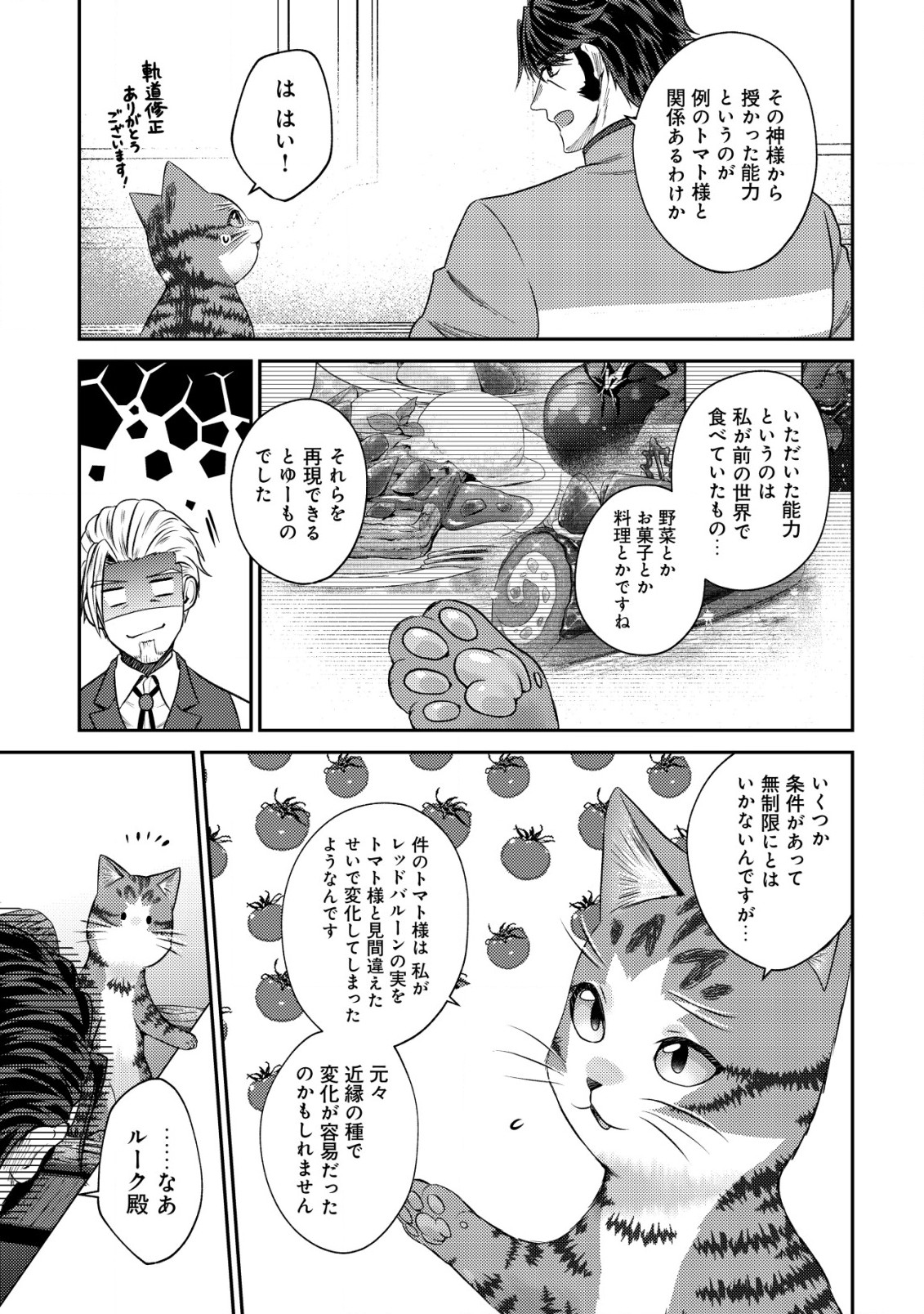 我輩は猫魔導師である～キジトラ・ルークの快適チート猫生活～ 第12.2話 - Page 11