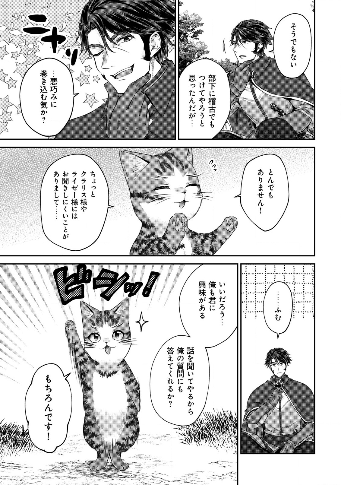 我輩は猫魔導師である～キジトラ・ルークの快適チート猫生活～ 第14.1話 - Page 4