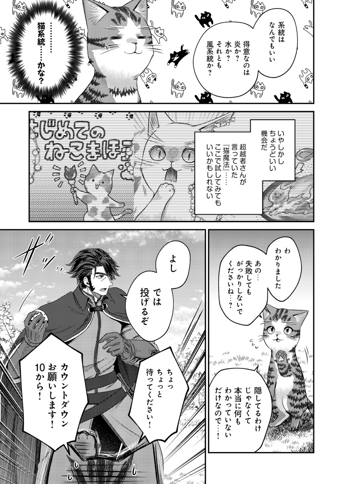 我輩は猫魔導師である～キジトラ・ルークの快適チート猫生活～ 第14.1話 - Page 10