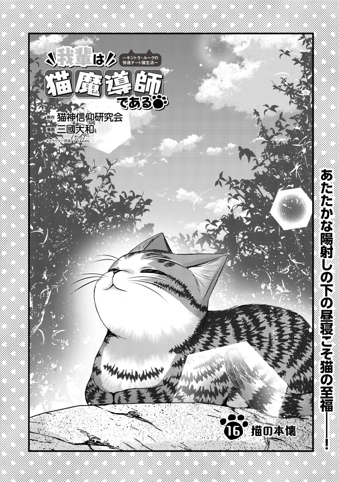 我輩は猫魔導師である～キジトラ・ルークの快適チート猫生活～ 第16話 - Page 2