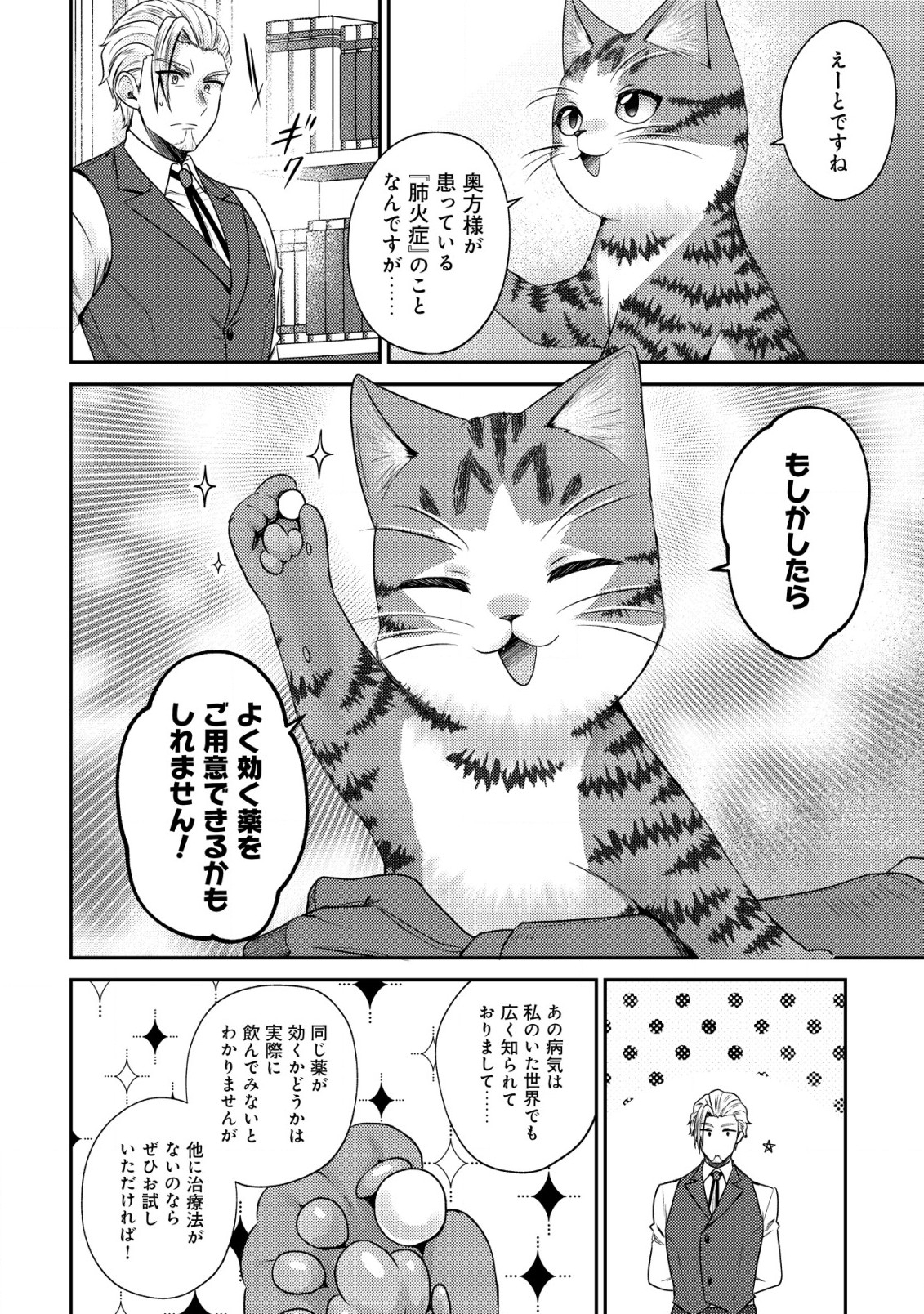 我輩は猫魔導師である～キジトラ・ルークの快適チート猫生活～ 第16話 - Page 8