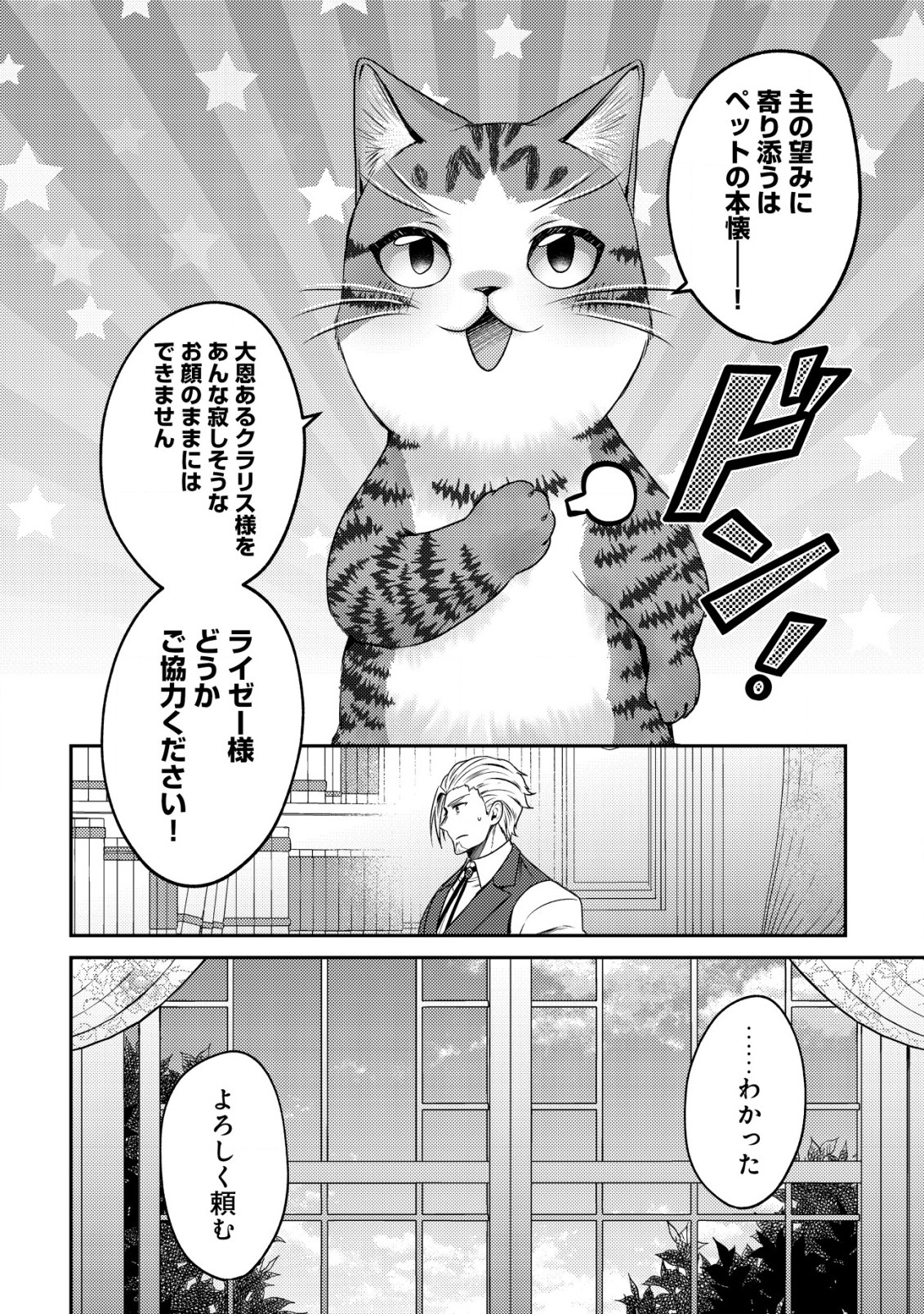 我輩は猫魔導師である～キジトラ・ルークの快適チート猫生活～ 第16話 - Page 13