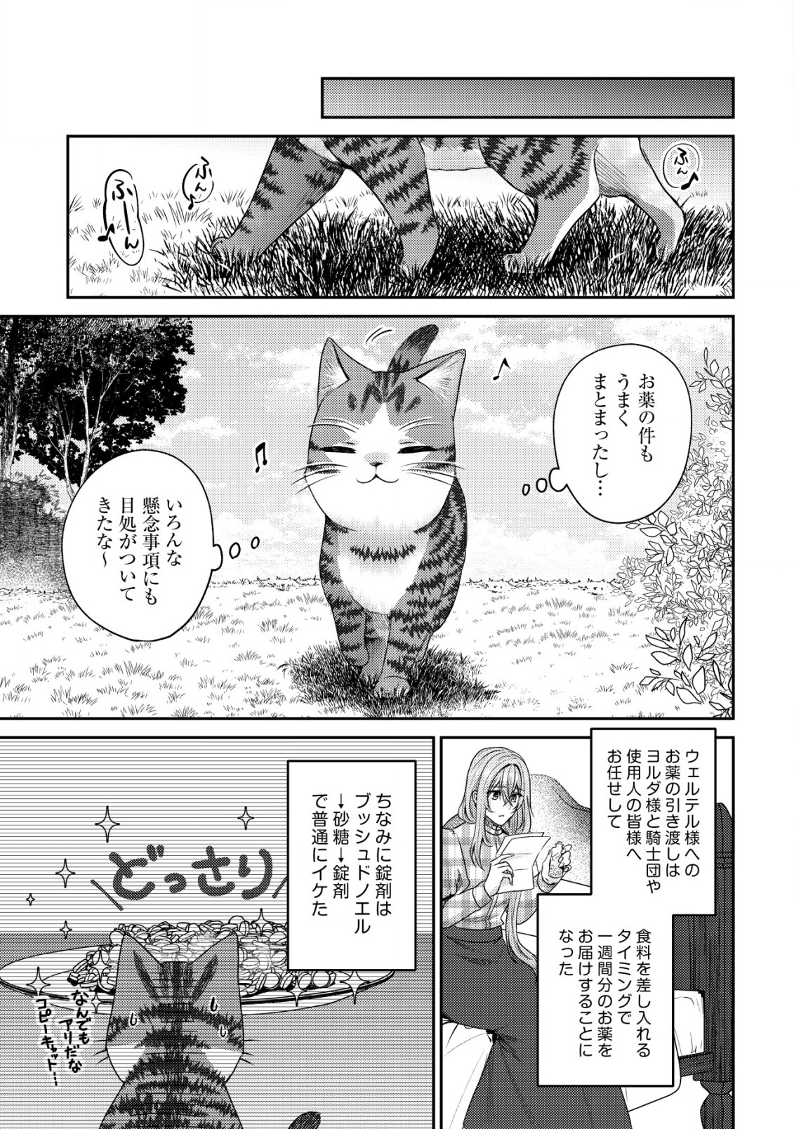 我輩は猫魔導師である～キジトラ・ルークの快適チート猫生活～ 第16話 - Page 14