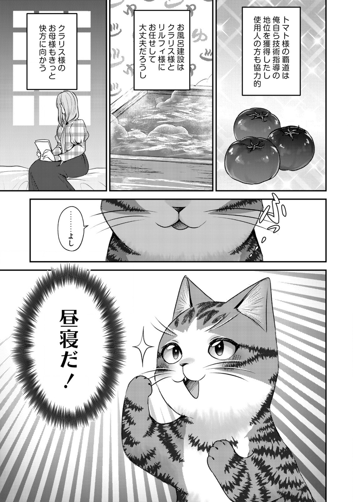 我輩は猫魔導師である～キジトラ・ルークの快適チート猫生活～ 第16話 - Page 15