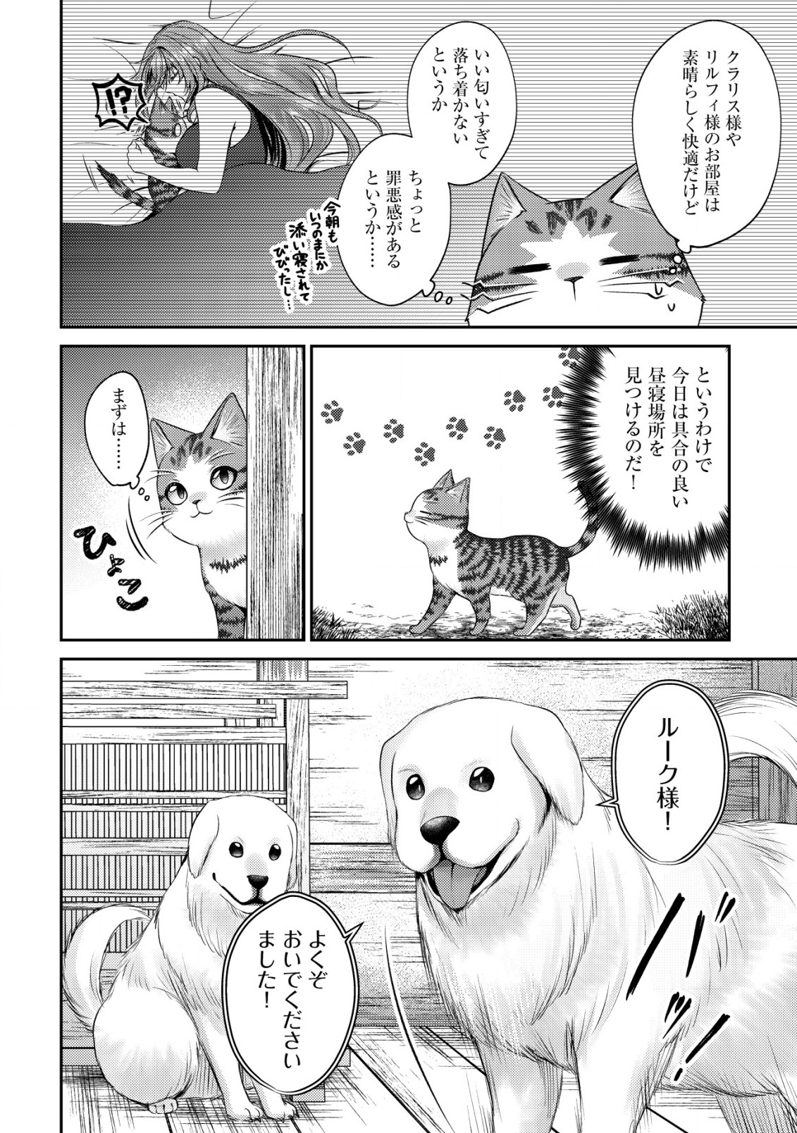 我輩は猫魔導師である～キジトラ・ルークの快適チート猫生活～ 第16話 - Page 17