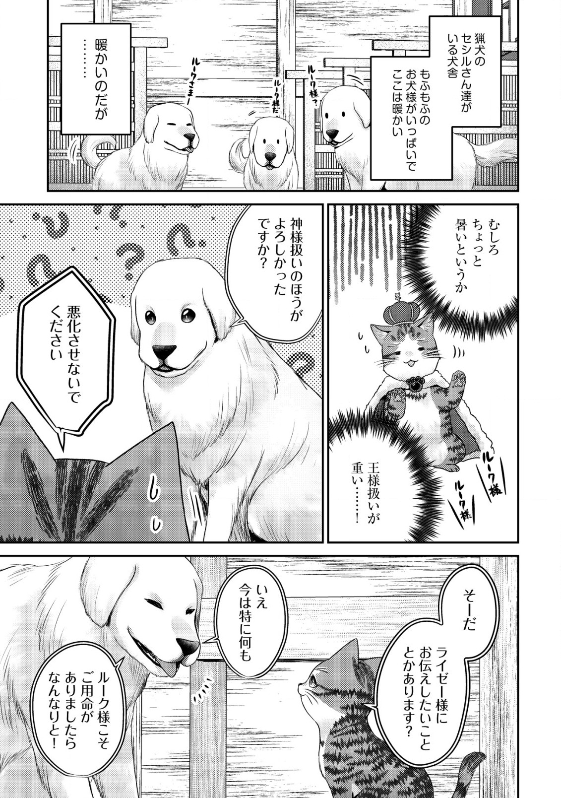 我輩は猫魔導師である～キジトラ・ルークの快適チート猫生活～ 第16話 - Page 17