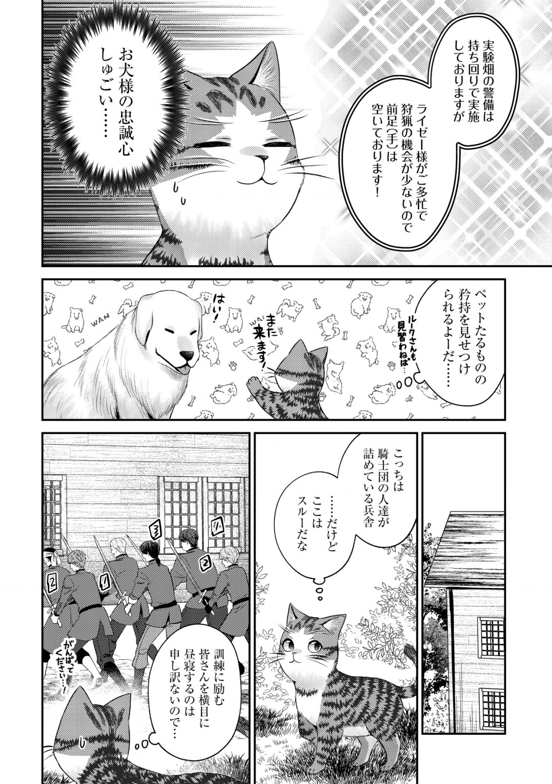 我輩は猫魔導師である～キジトラ・ルークの快適チート猫生活～ 第16話 - Page 19