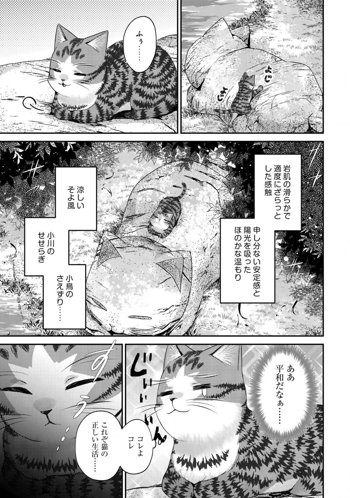 我輩は猫魔導師である～キジトラ・ルークの快適チート猫生活～ 第16話 - Page 21