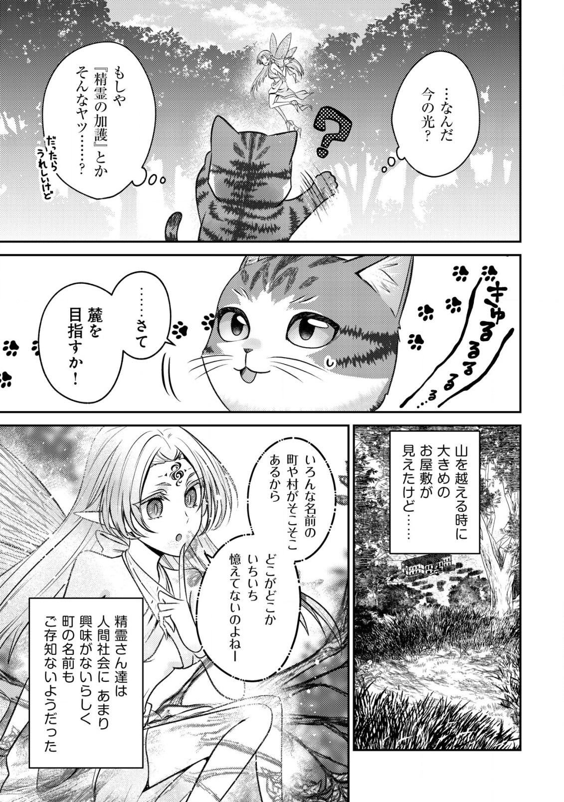 我輩は猫魔導師である～キジトラ・ルークの快適チート猫生活～ 第2話 - Page 5