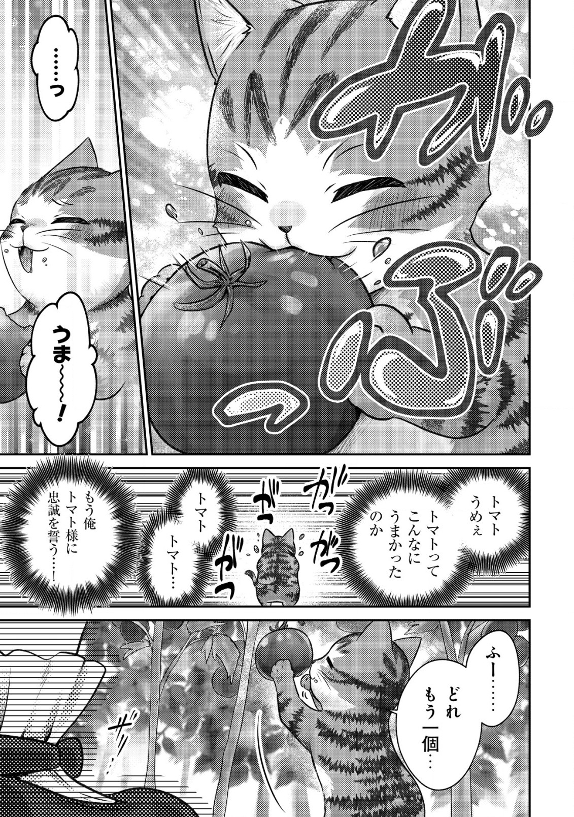 我輩は猫魔導師である～キジトラ・ルークの快適チート猫生活～ 第2話 - Page 9