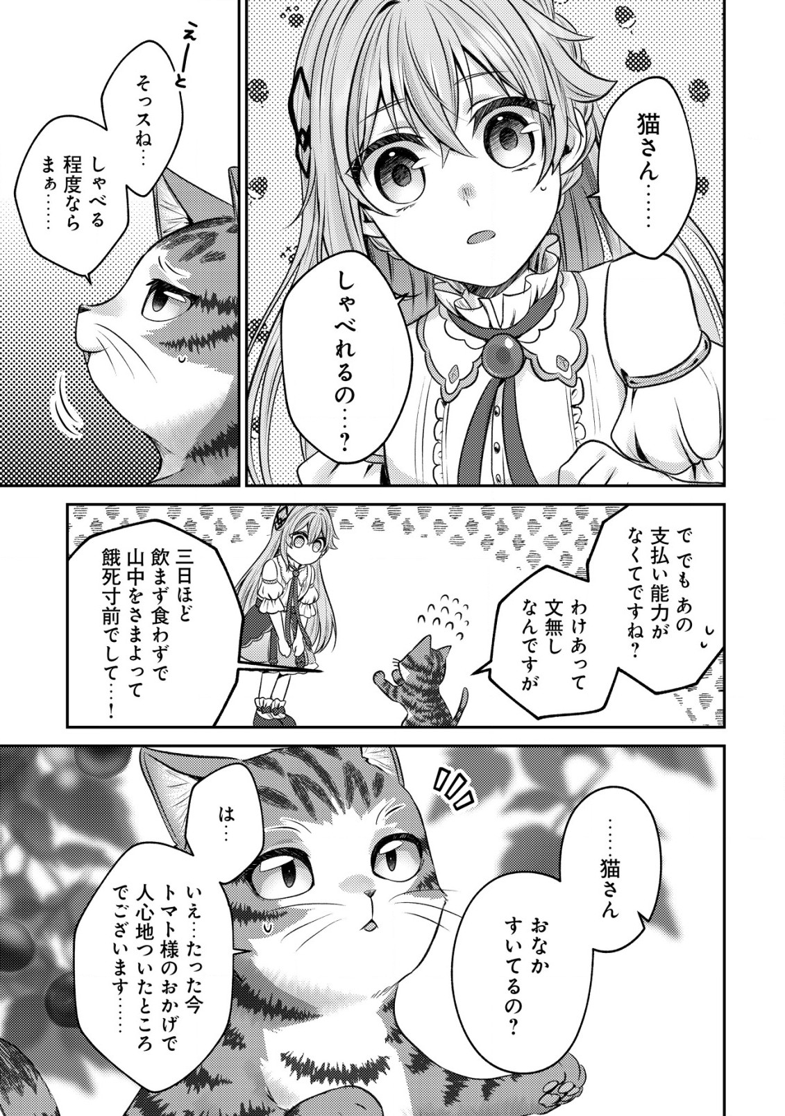 我輩は猫魔導師である～キジトラ・ルークの快適チート猫生活～ 第2話 - Page 13