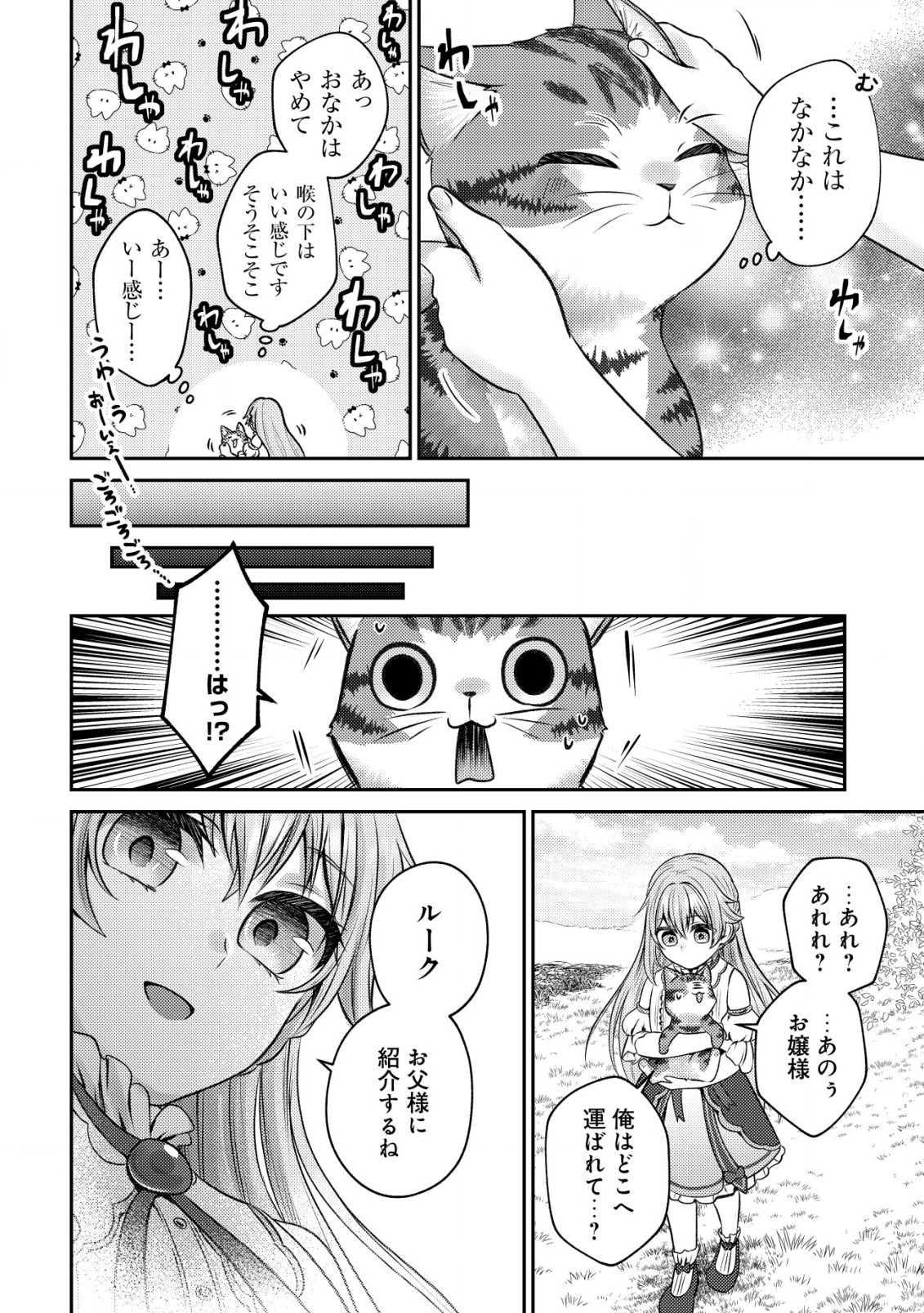 我輩は猫魔導師である～キジトラ・ルークの快適チート猫生活～ 第2話 - Page 16