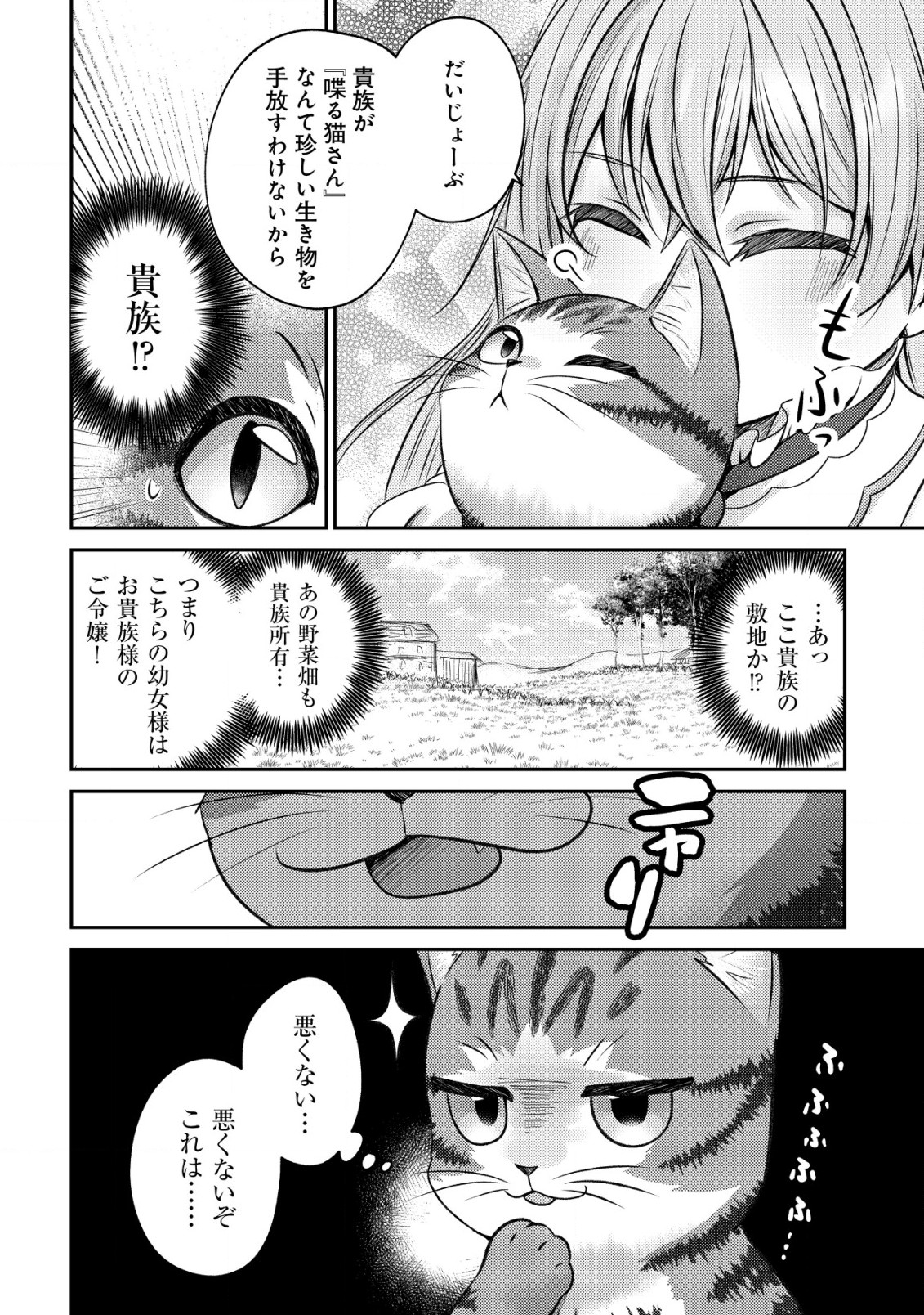 我輩は猫魔導師である～キジトラ・ルークの快適チート猫生活～ 第2話 - Page 19