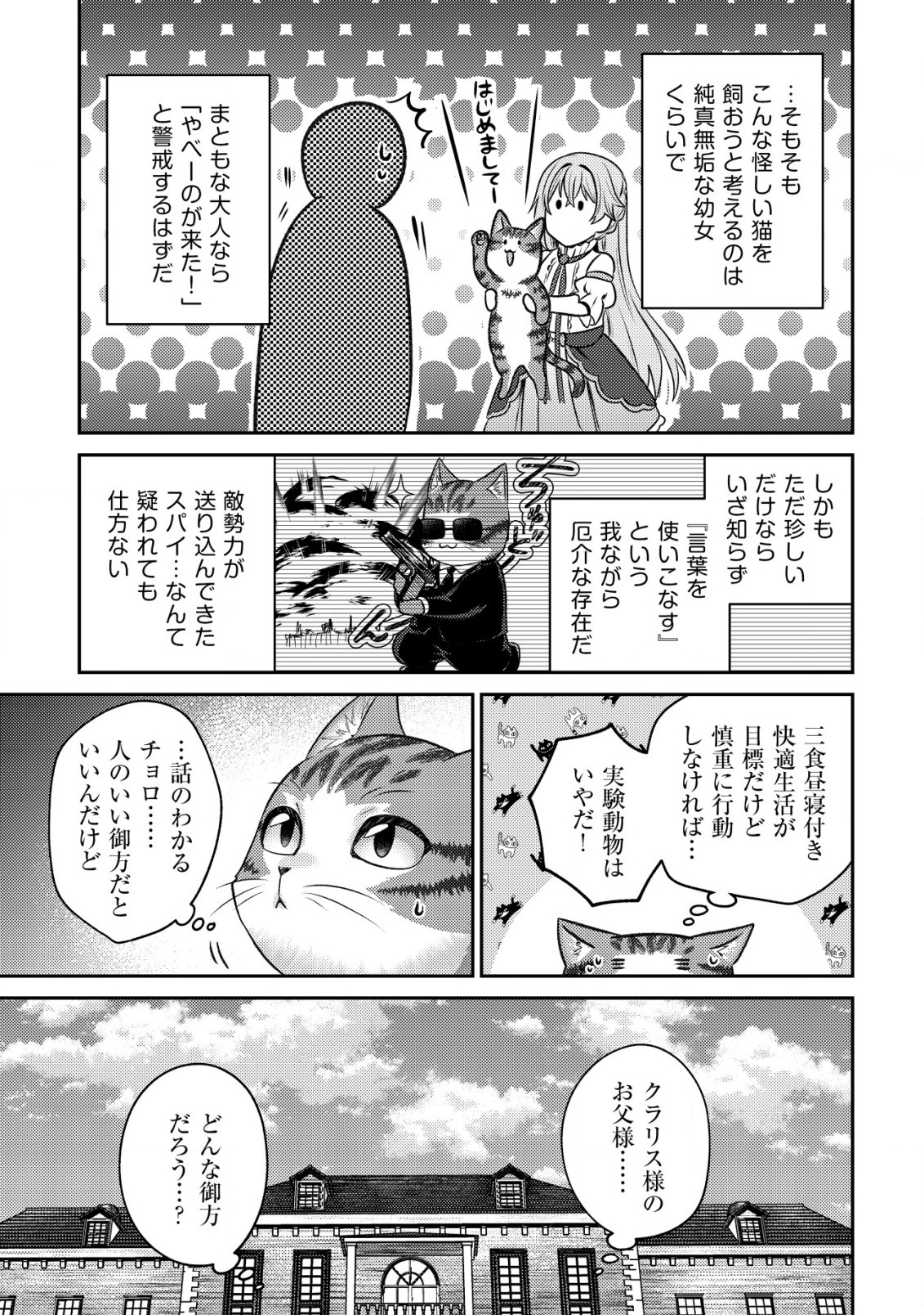 我輩は猫魔導師である～キジトラ・ルークの快適チート猫生活～ 第2話 - Page 22