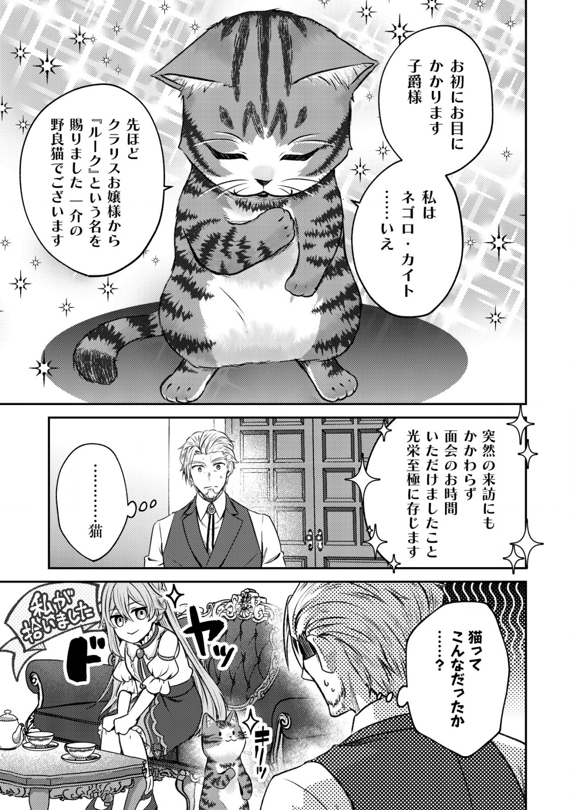 我輩は猫魔導師である～キジトラ・ルークの快適チート猫生活～ 第3話 - Page 13