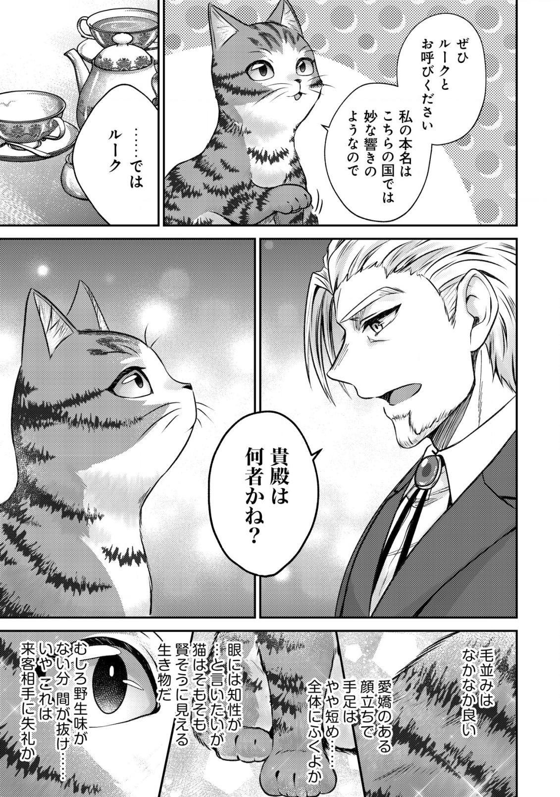 我輩は猫魔導師である～キジトラ・ルークの快適チート猫生活～ 第3話 - Page 15