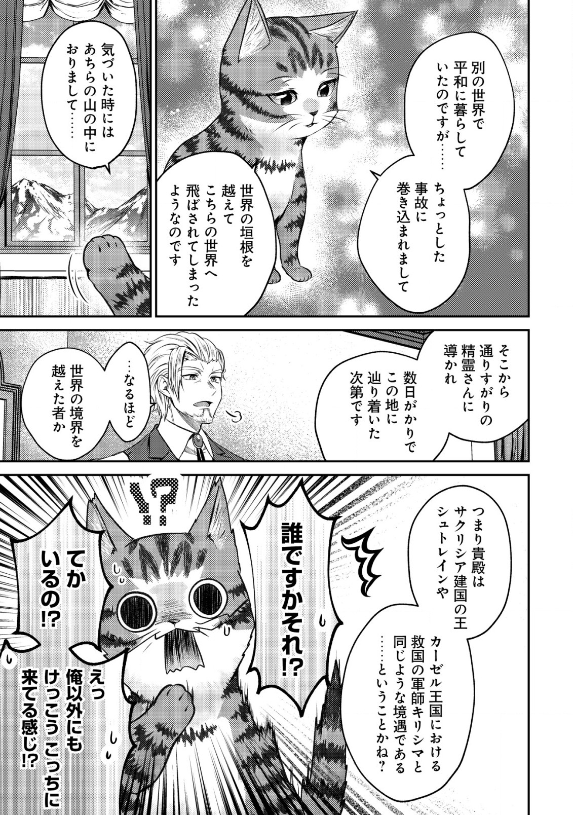 我輩は猫魔導師である～キジトラ・ルークの快適チート猫生活～ 第3話 - Page 18