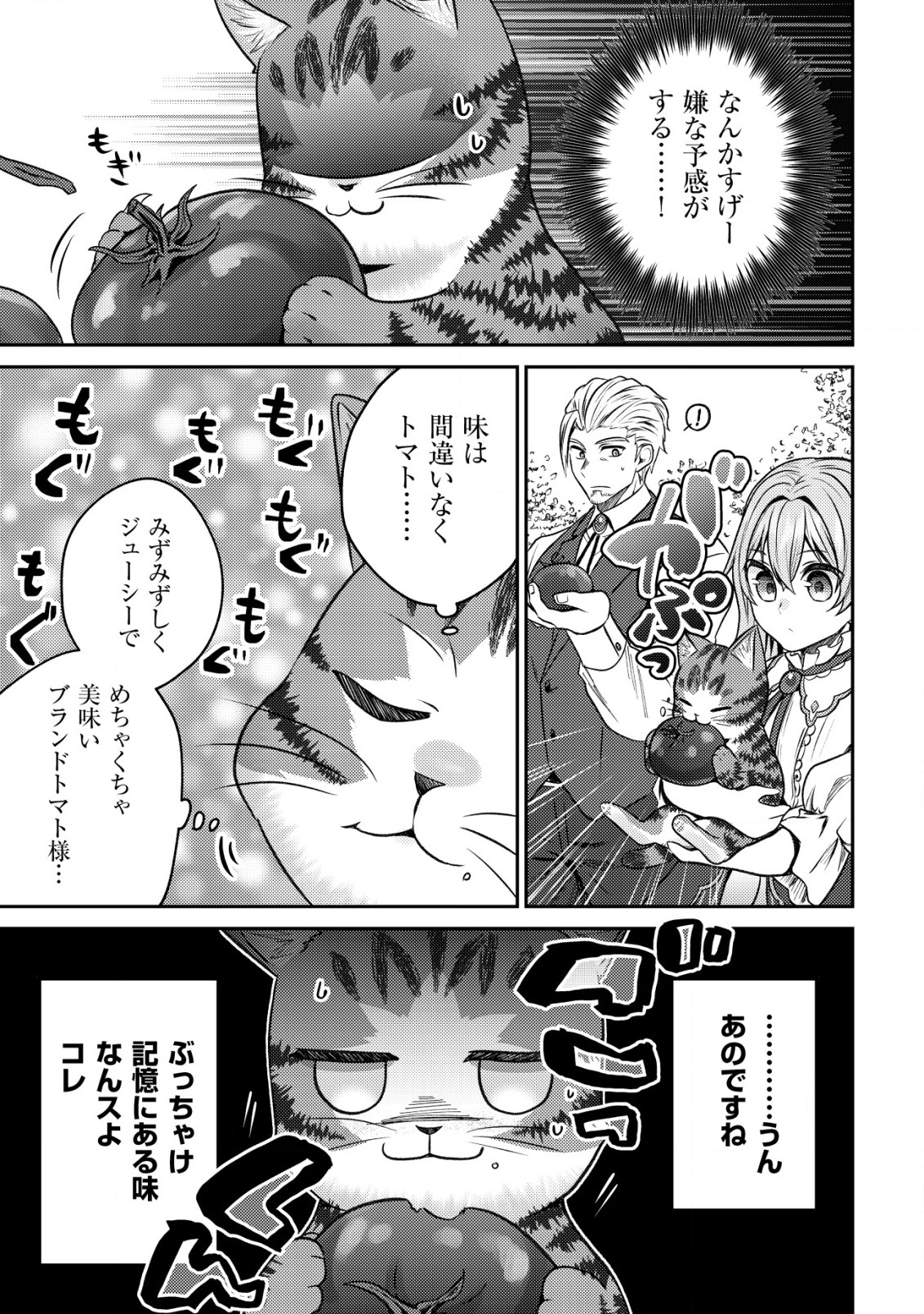 我輩は猫魔導師である～キジトラ・ルークの快適チート猫生活～ 第4話 - Page 8