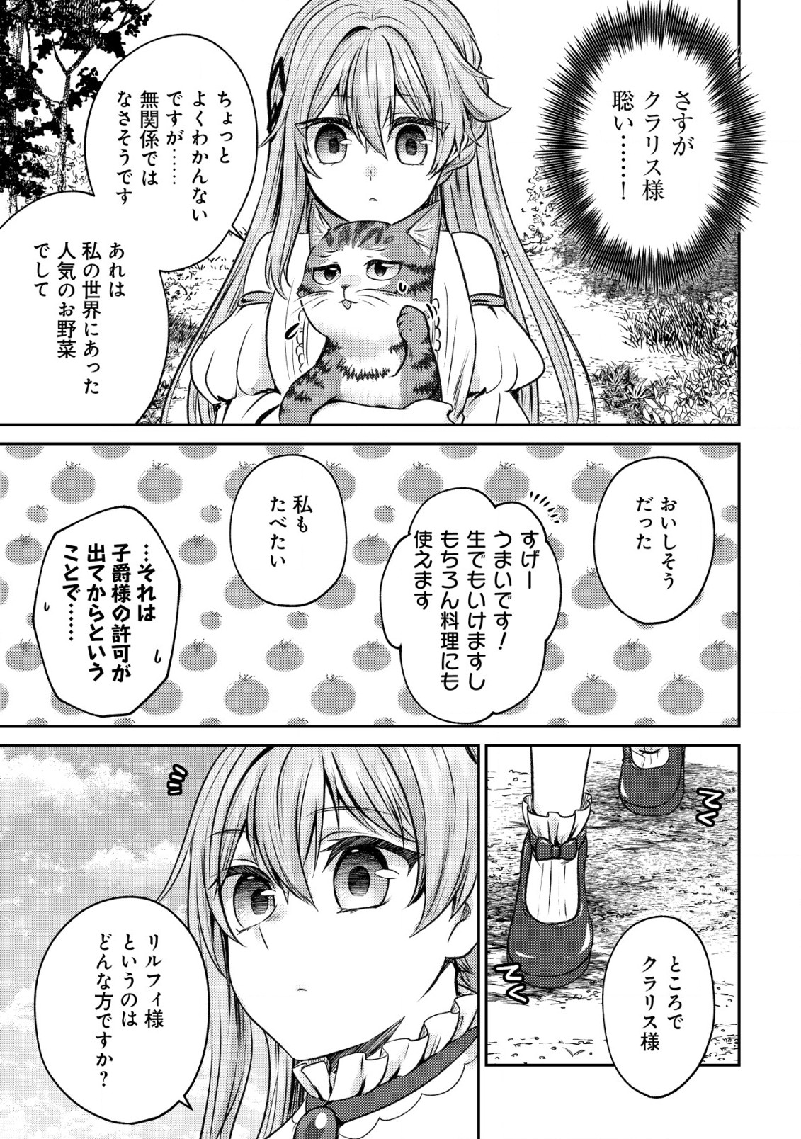 我輩は猫魔導師である～キジトラ・ルークの快適チート猫生活～ 第4話 - Page 12