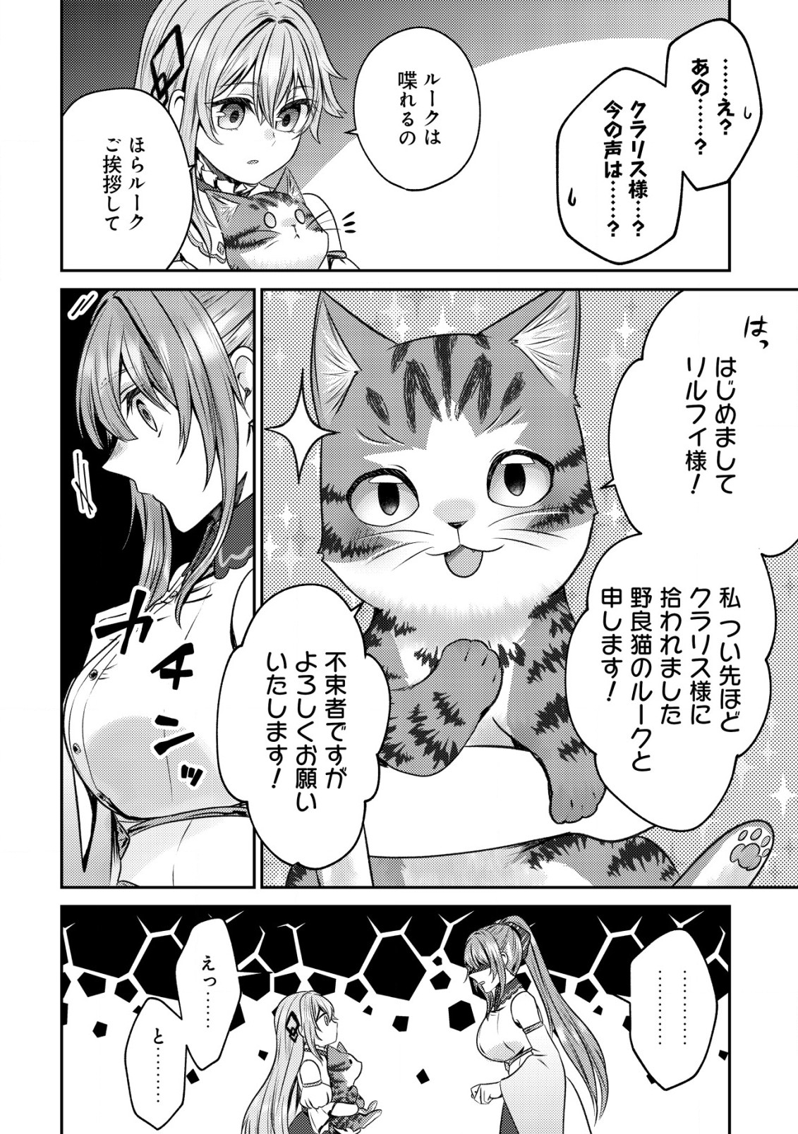 我輩は猫魔導師である～キジトラ・ルークの快適チート猫生活～ 第4話 - Page 19