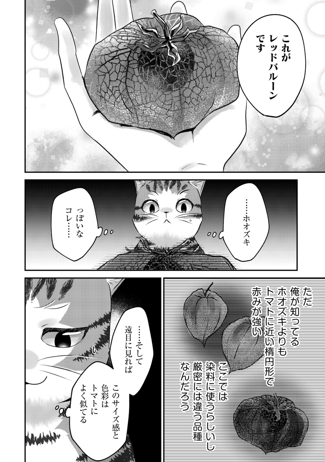 我輩は猫魔導師である～キジトラ・ルークの快適チート猫生活～ 第4話 - Page 29