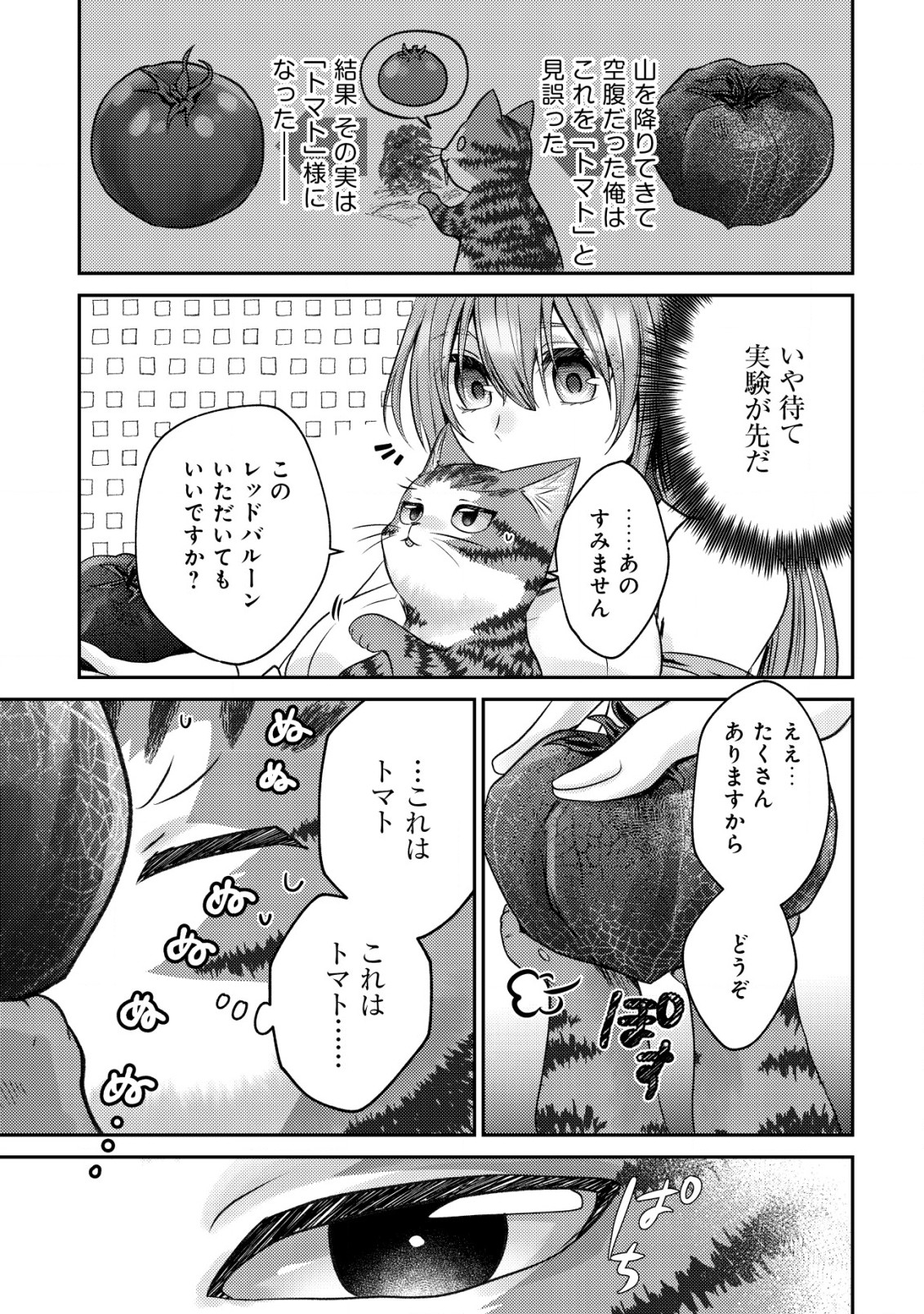 我輩は猫魔導師である～キジトラ・ルークの快適チート猫生活～ 第4話 - Page 30