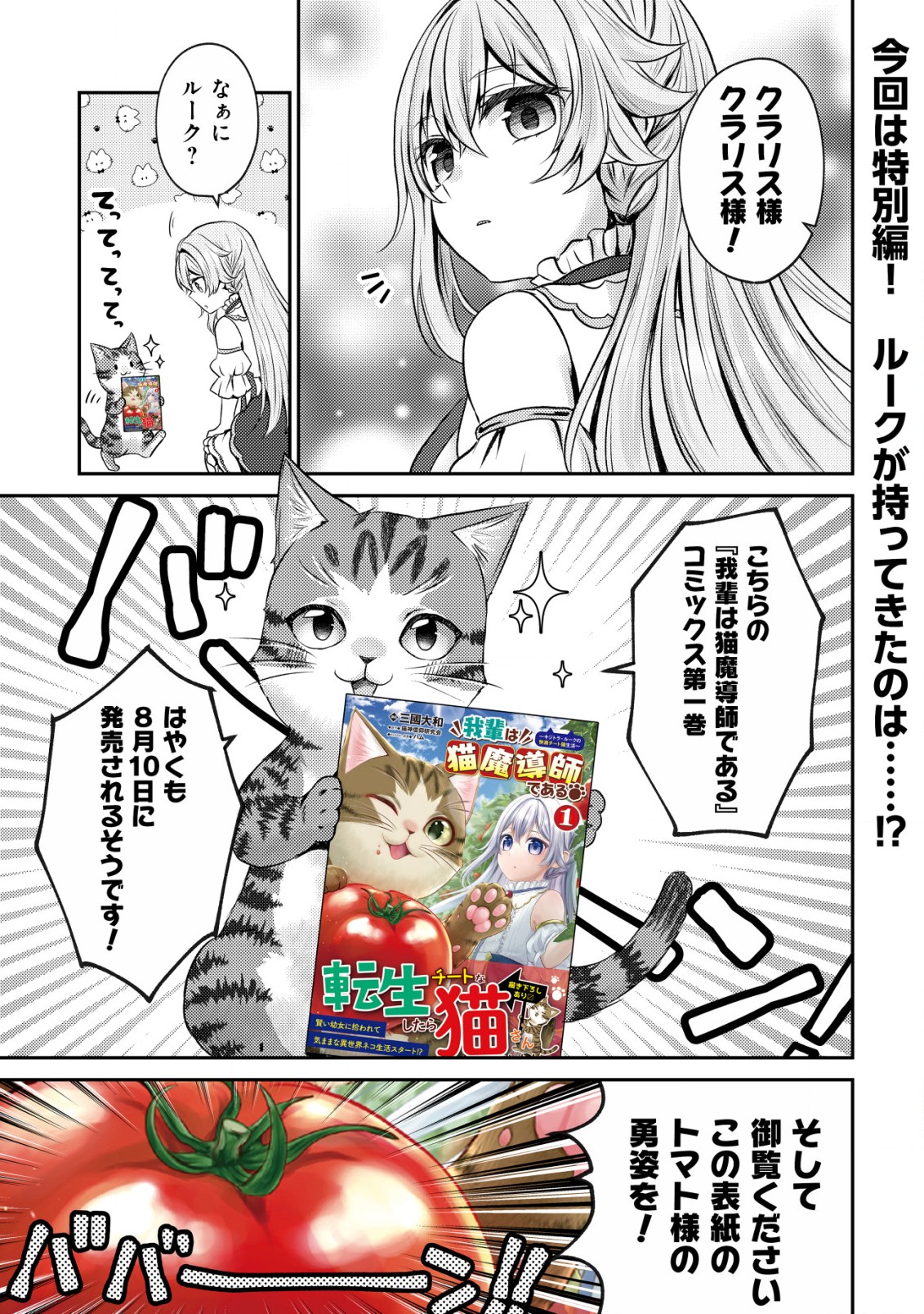 我輩は猫魔導師である～キジトラ・ルークの快適チート猫生活～ 第5.5話 - Page 2