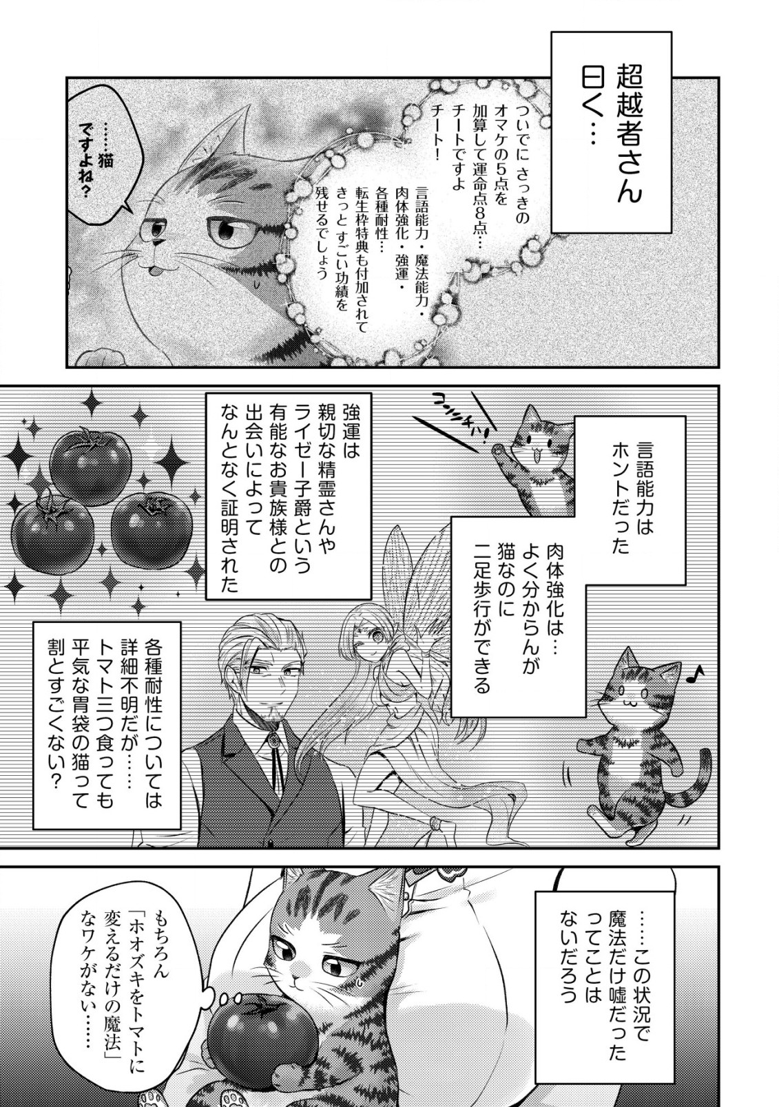 我輩は猫魔導師である～キジトラ・ルークの快適チート猫生活～ 第5話 - Page 4