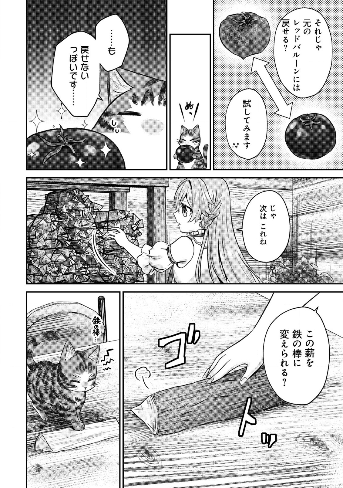 我輩は猫魔導師である～キジトラ・ルークの快適チート猫生活～ 第5話 - Page 7