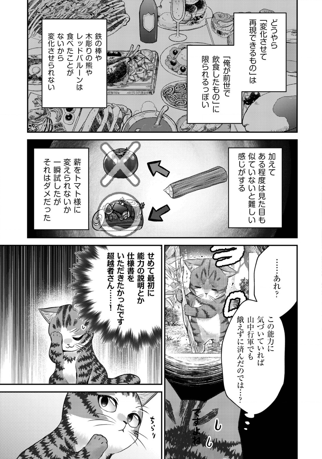 我輩は猫魔導師である～キジトラ・ルークの快適チート猫生活～ 第5話 - Page 10