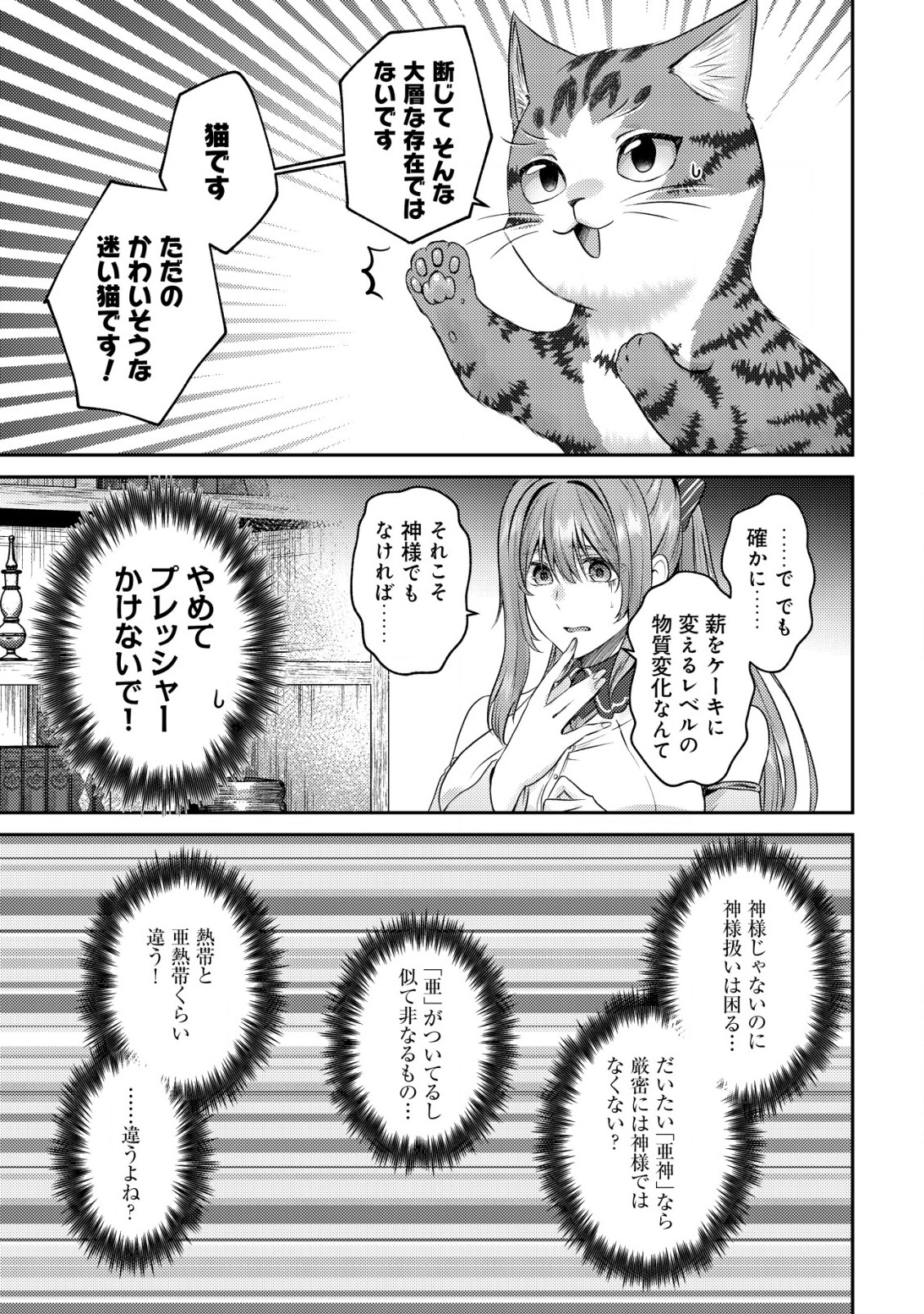 我輩は猫魔導師である～キジトラ・ルークの快適チート猫生活～ 第6話 - Page 4