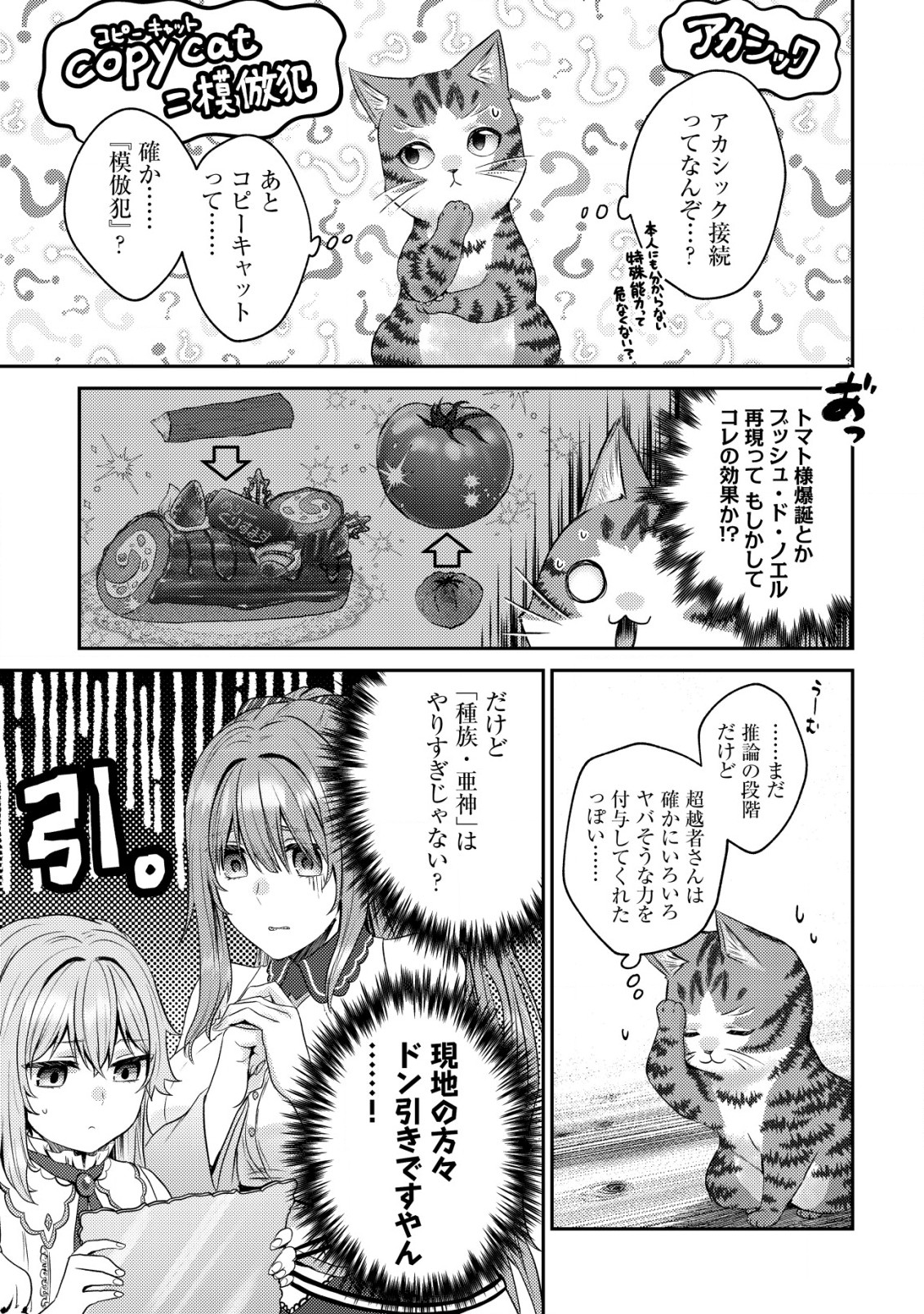 我輩は猫魔導師である～キジトラ・ルークの快適チート猫生活～ 第6話 - Page 6