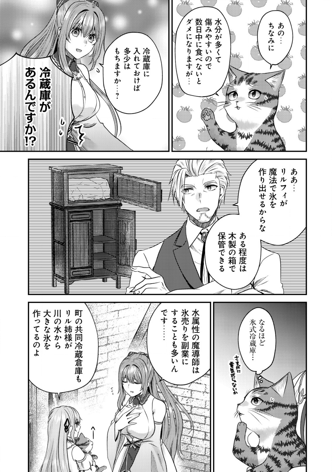 我輩は猫魔導師である～キジトラ・ルークの快適チート猫生活～ 第6話 - Page 14