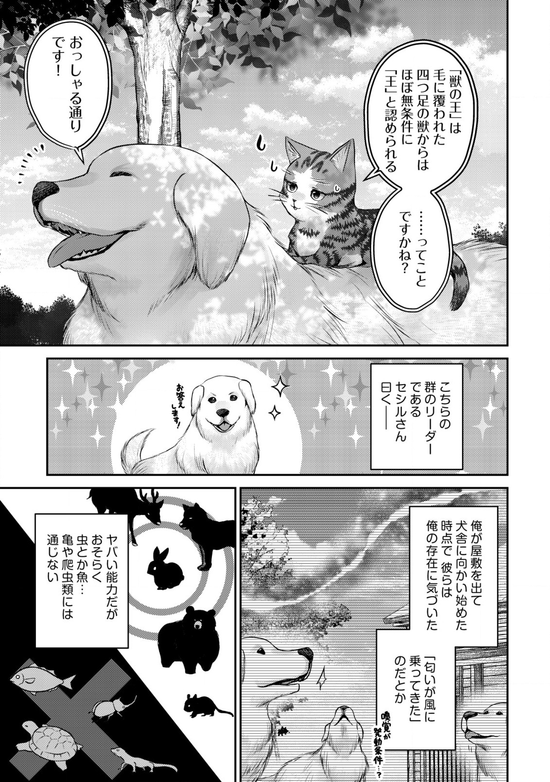 我輩は猫魔導師である～キジトラ・ルークの快適チート猫生活～ 第7.1話 - Page 4