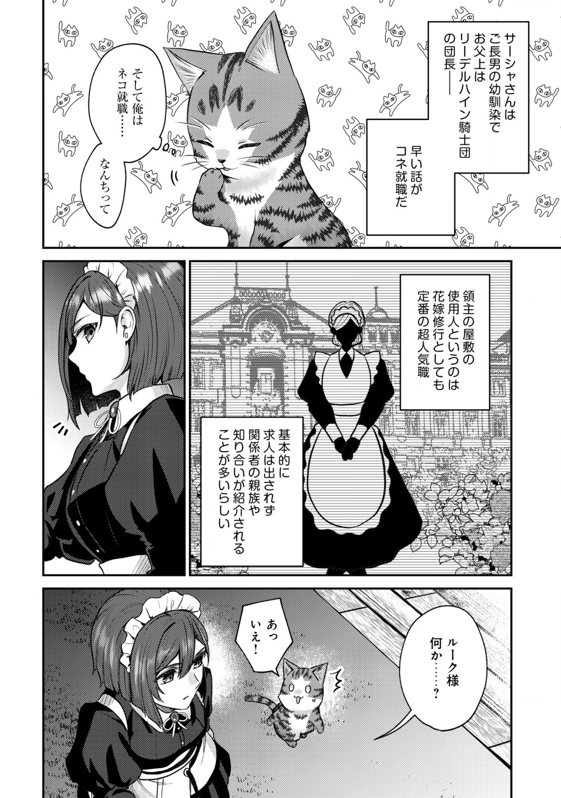 我輩は猫魔導師である～キジトラ・ルークの快適チート猫生活～ 第7.2話 - Page 11