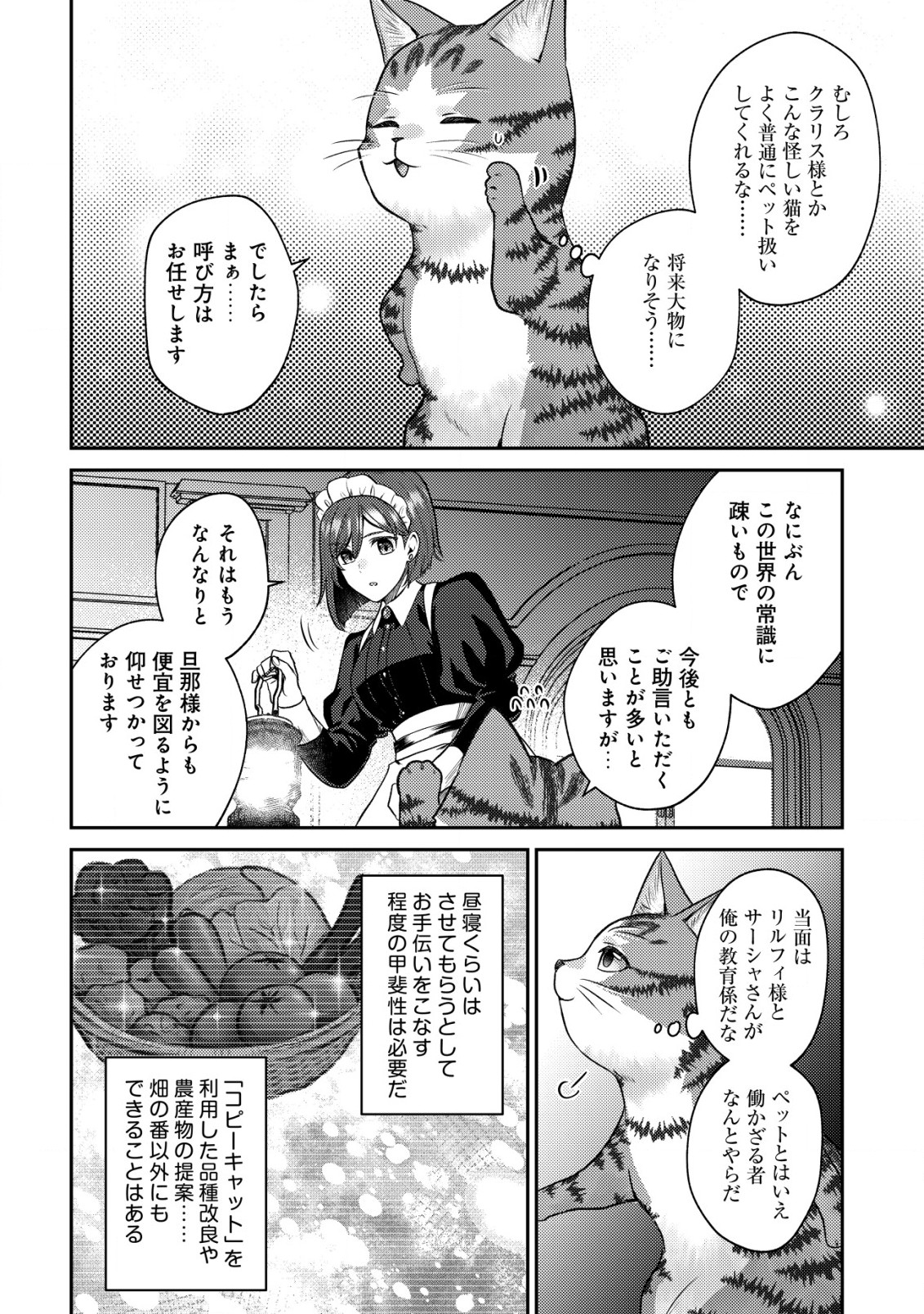 我輩は猫魔導師である～キジトラ・ルークの快適チート猫生活～ 第7.2話 - Page 13