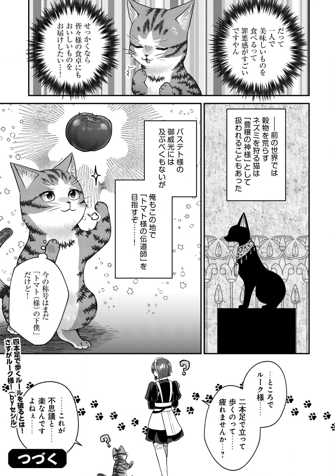 我輩は猫魔導師である～キジトラ・ルークの快適チート猫生活～ 第7.2話 - Page 13