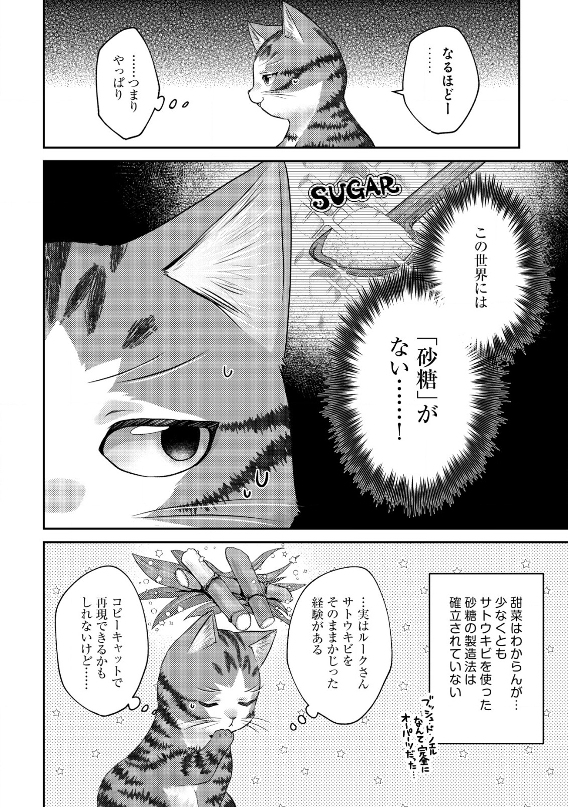 我輩は猫魔導師である～キジトラ・ルークの快適チート猫生活～ 第8.1話 - Page 6